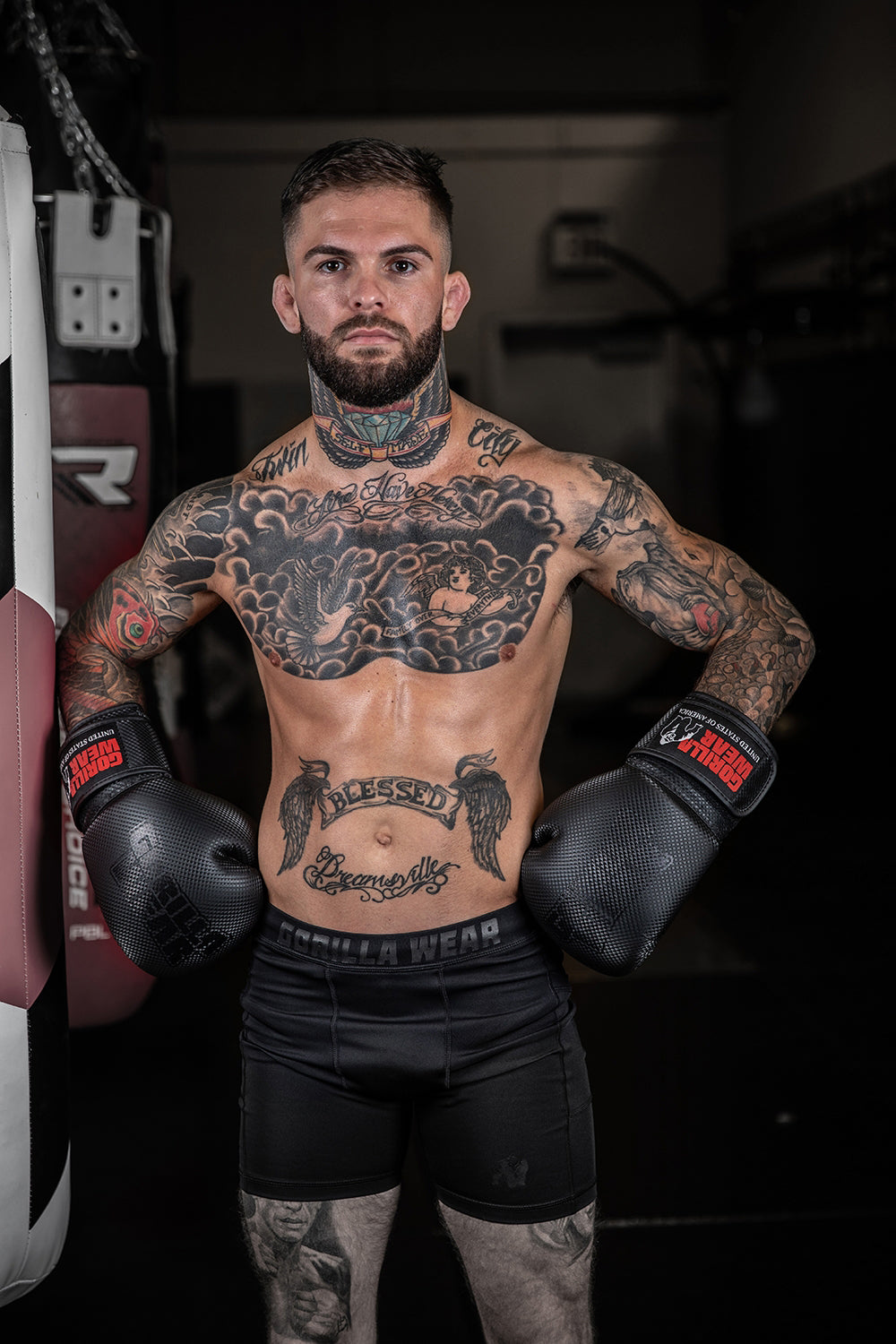 1000x1500  Стр. 54 | UFC HD обои | Pxfuel