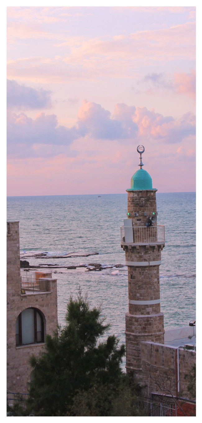 650x1361   47+] Израиль iPhone Обои на WallpaperSafari