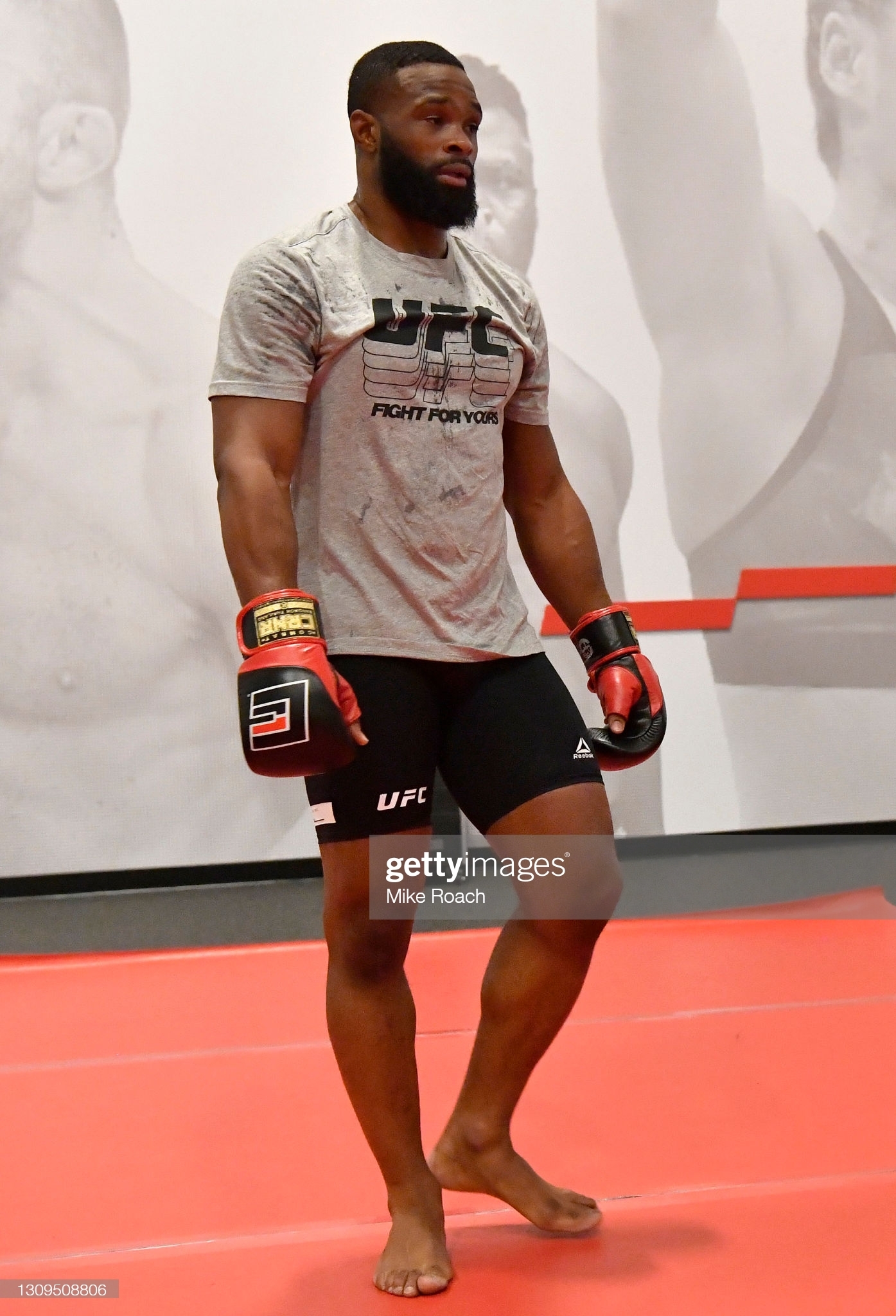 1395x2048  Mystic Mac | Конор МакГрегор обои, обои McGregor, Poster Conor McGregor