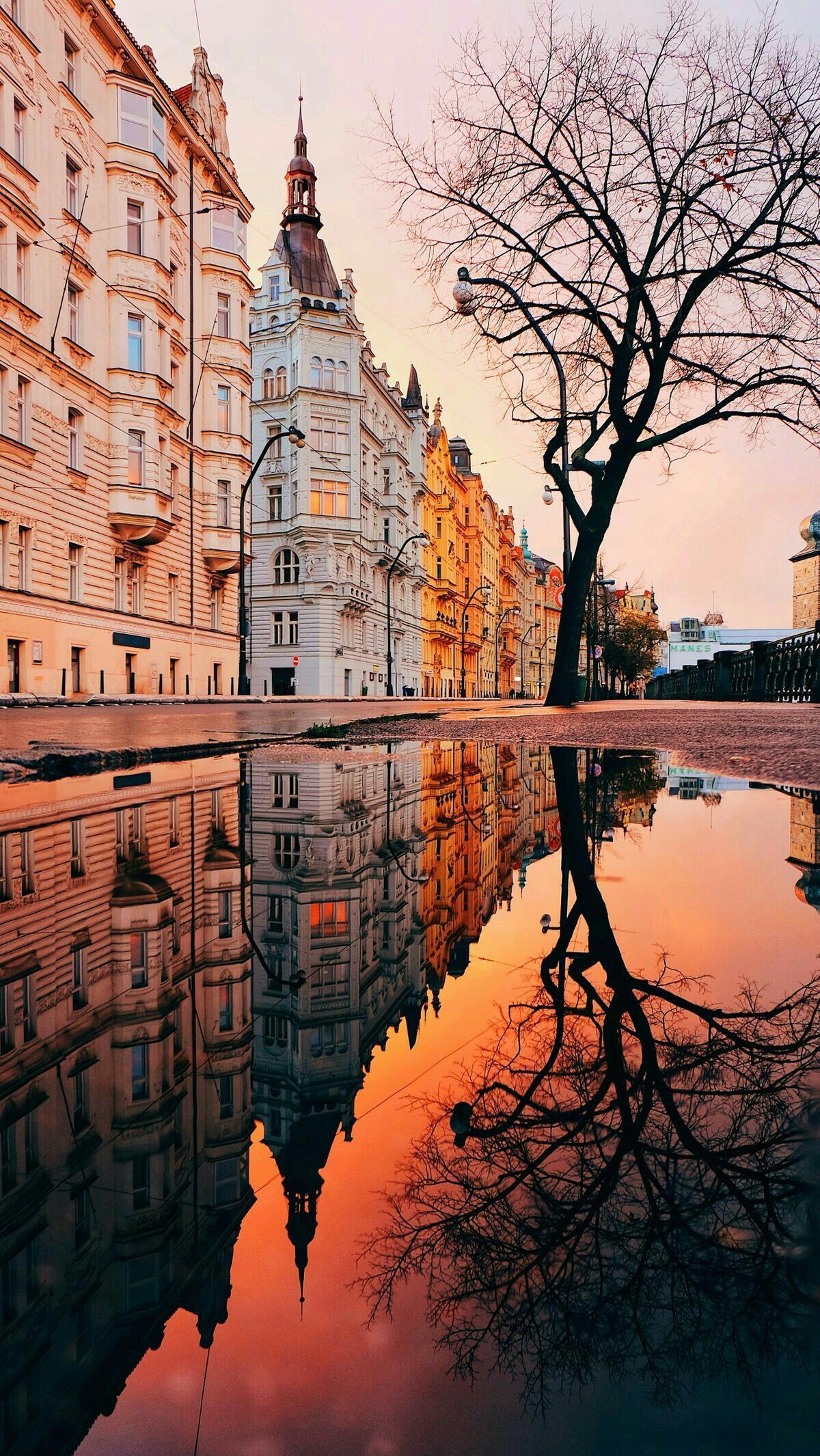 1200x2131  Prague Spring Обои - Лучшие бесплатные фоны Пражской весны - WallpaperAccess