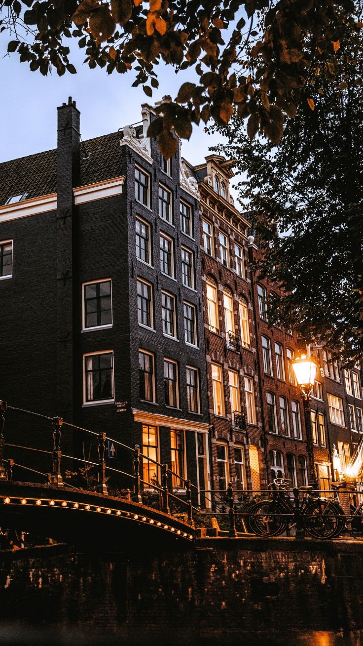 736x1308   Амстердам Обои для iPhone | Тюльпаны \ u0026 Travels