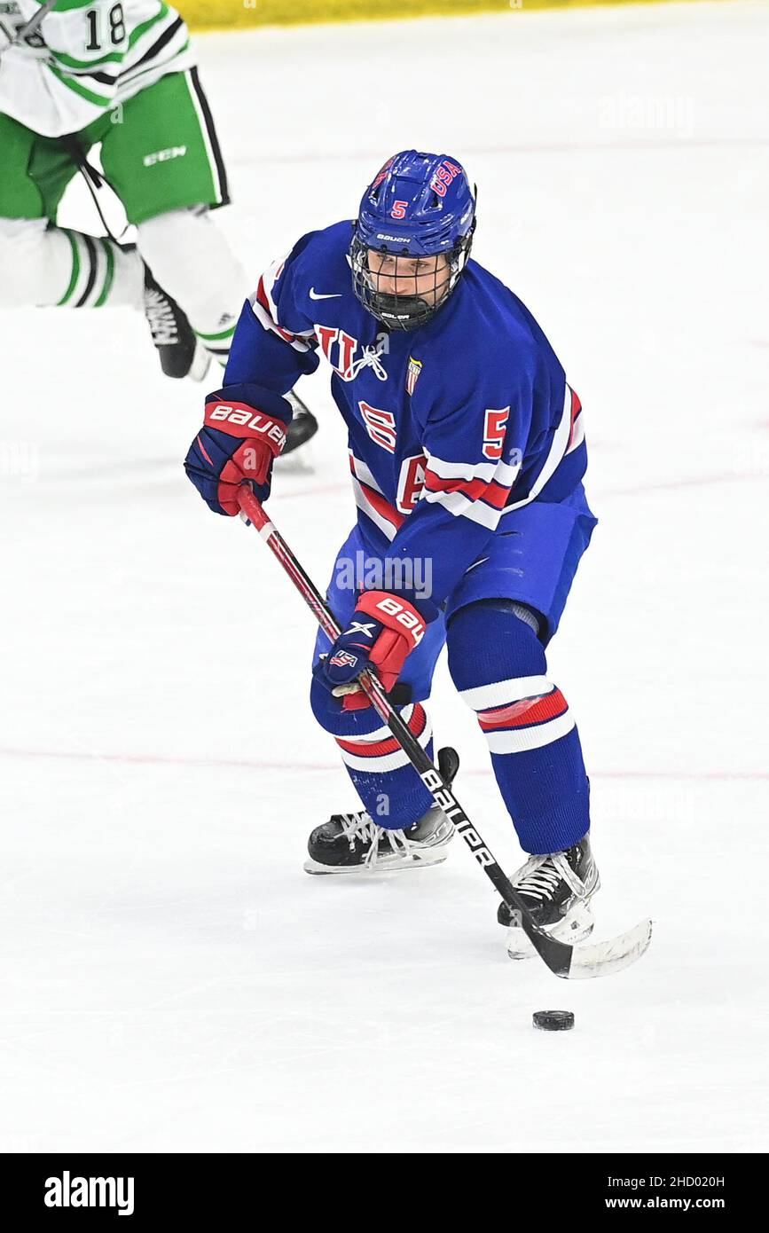 867x1390  2018 Ян-8/10 Кхл Динамо Рига против HC Sochi AK Bars Hockey Program | eBay