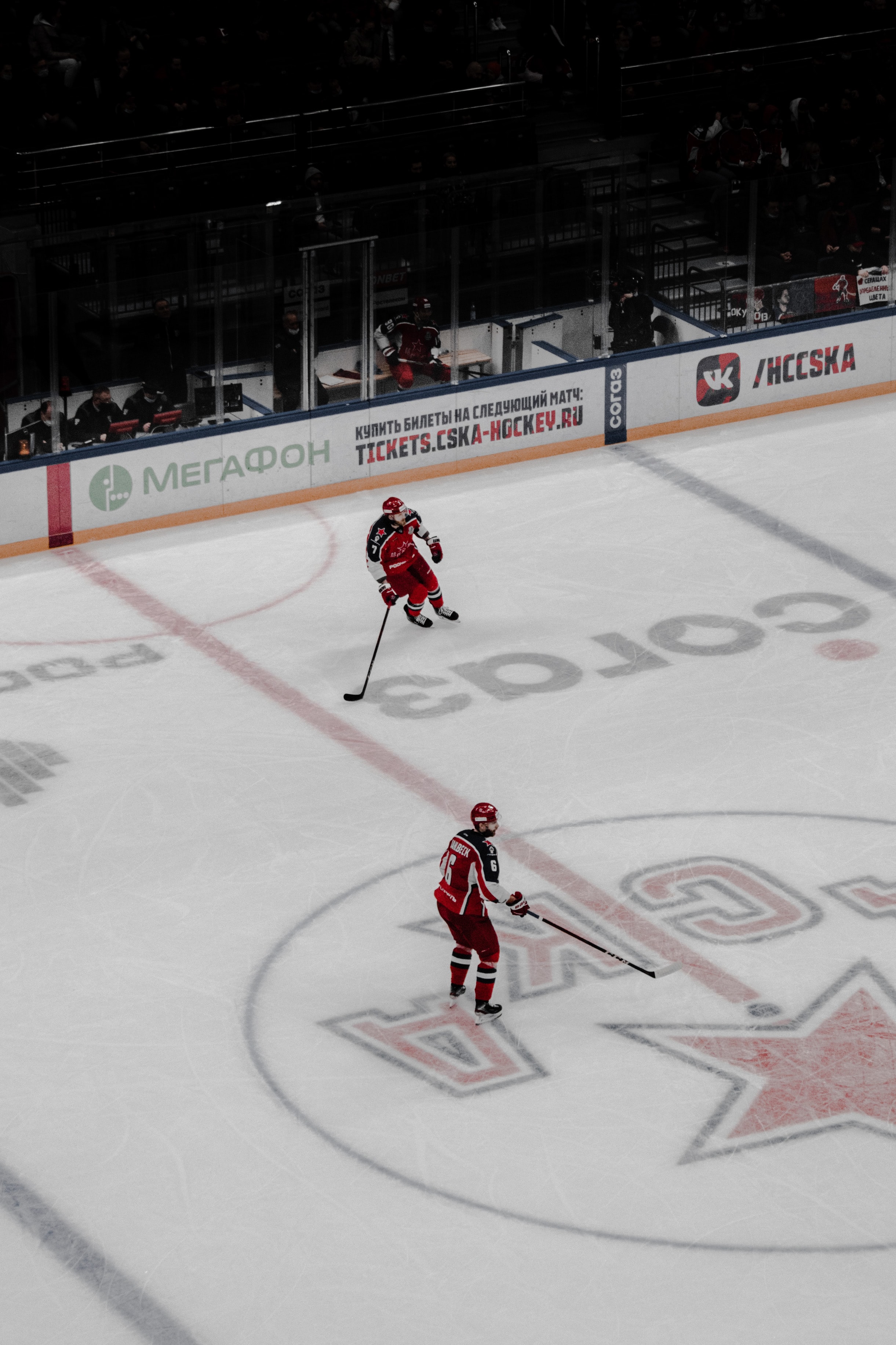 2442x3663  Хоккеисты на хоккейном хоккее фото - бесплатное хоккейное изображение на Unsplash