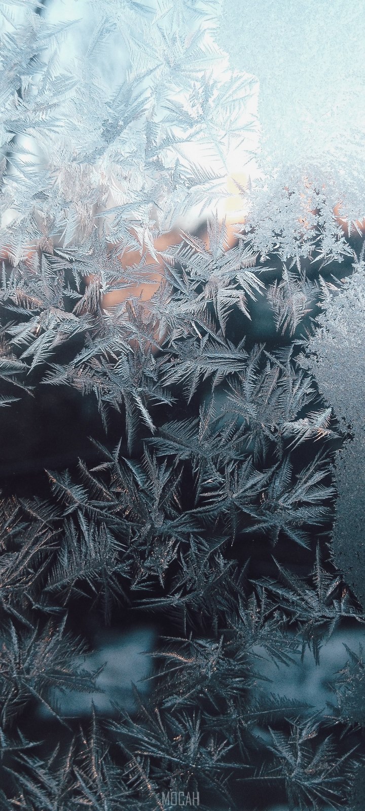 720x1600  288262 холодная зимняя текстура и перьев HD, Infinix Note 7 Lite обои HD, 720x1600 - Редкая галерея HD Wallpapers