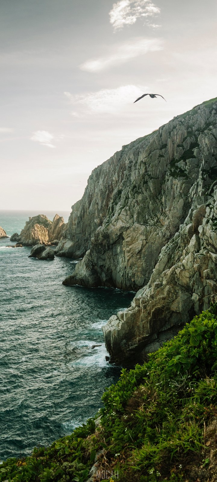 720x1600  HD обои - скачать фотографии обоев бесплатно