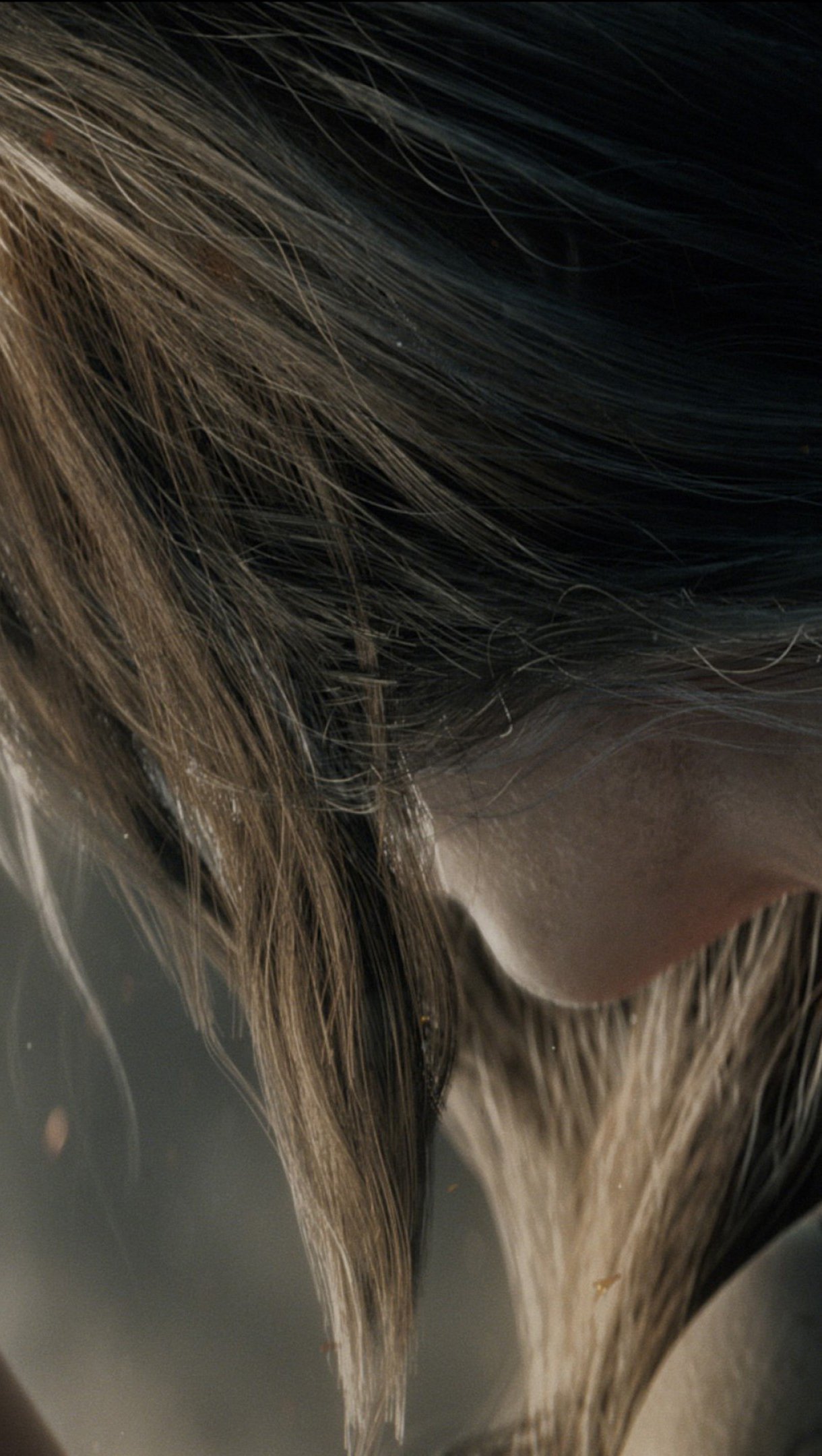 1220x2160  Elden Ring Wallpaper 4K Ultra HD ID: 4005