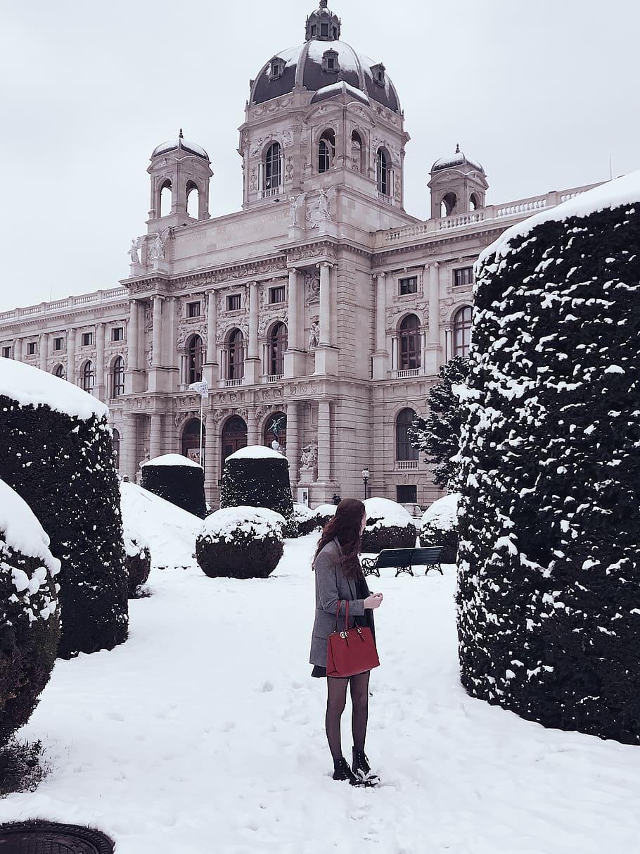 910x1213  Vienna Wallpaper размещено Sarah Sellers