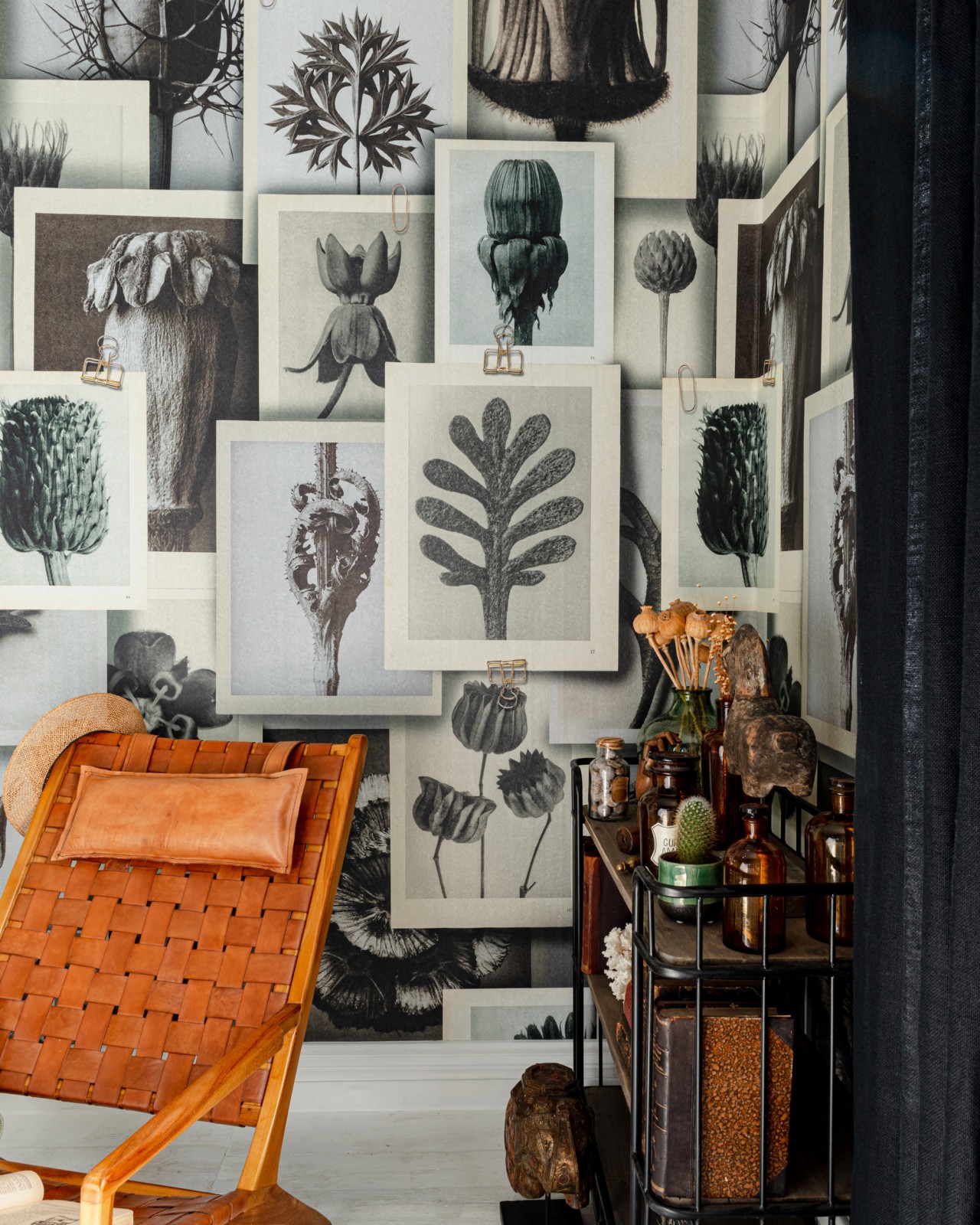 1280x1600  Обои для искусства Blossfeldt Forms - Продукты