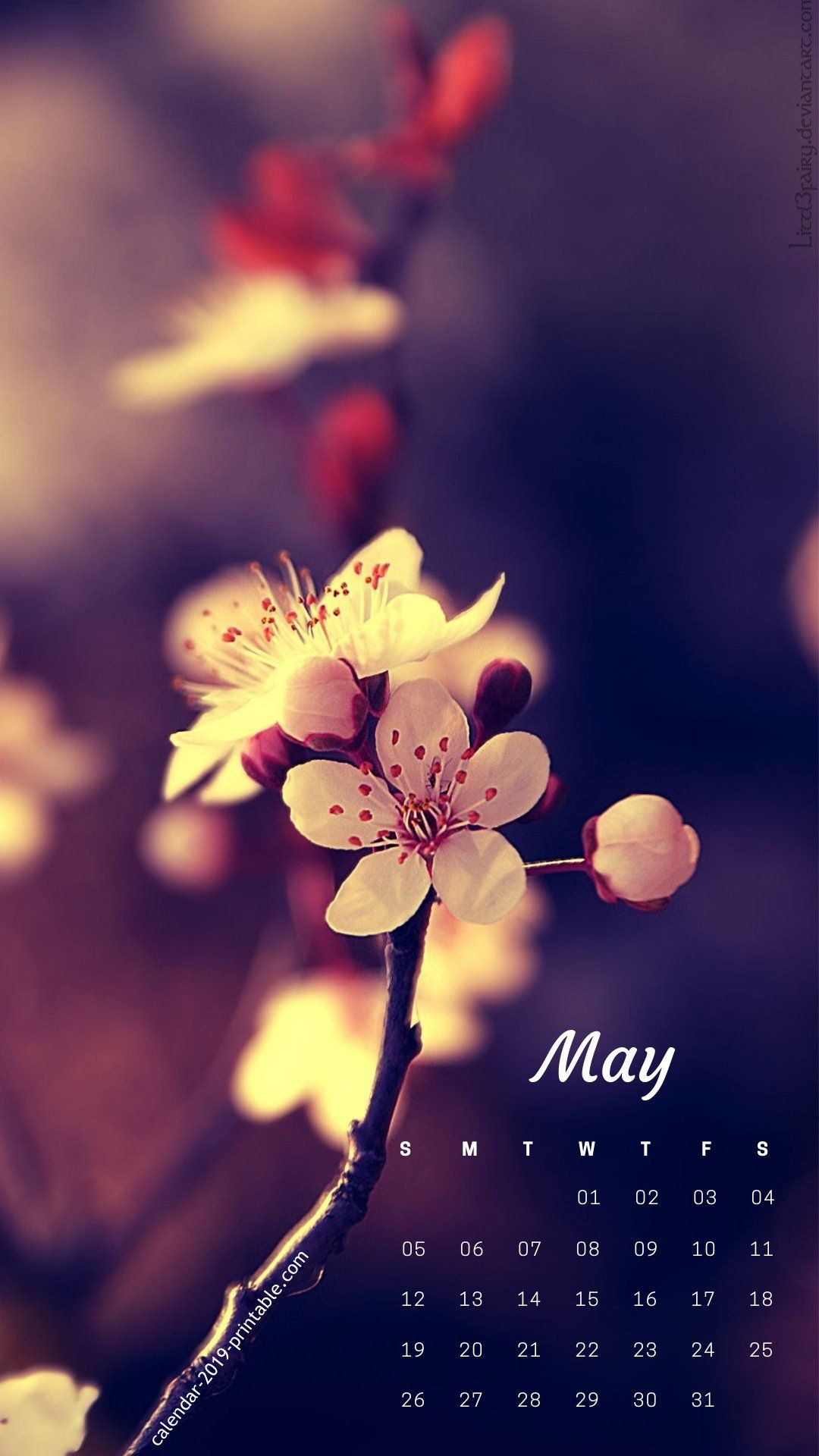 1080x1920  Бесплатно скачать май 2019 календарь iPhone Цветочные обои 2019 Календари в 2019 году [1080x1920] для вашего рабочего стола, Mobile \ U0026 Tablet | Изучите 61+ мая обои для компьютера | МАЙСКИЙ ФОН ДЛЯ ДЕЙСТВИЯ ДЛЯ ДЕЙСТВИЯ, МАЙ Обои, МАЙ Обои для рабочего стола