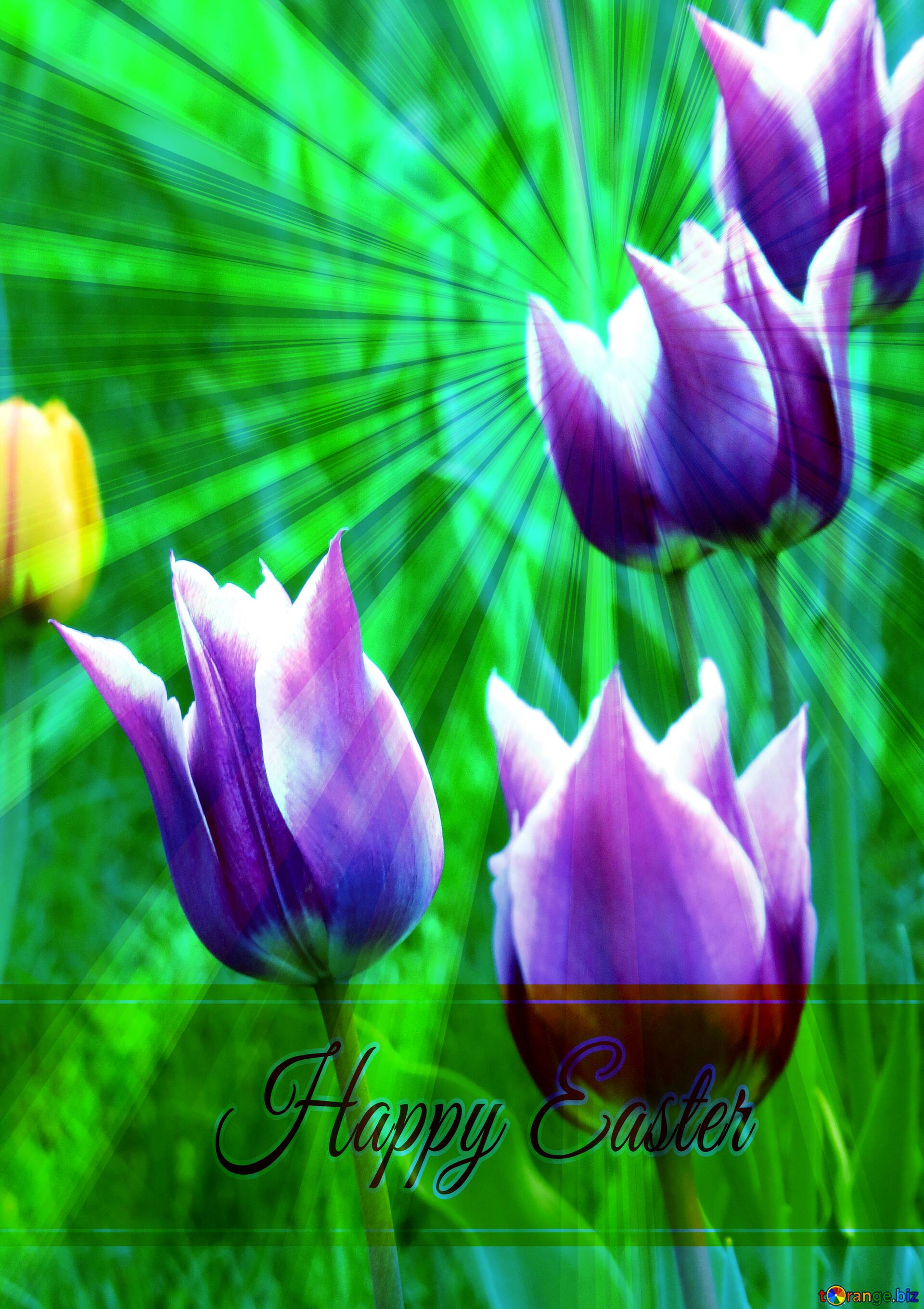 1920x2720  Скачать бесплатно картинку May Plowers Piscord Happy Paster на фоне с лучами солнечного света на лицензии CC-BY ~ Бесплатное изображение Stock Torange.Biz ~ FX №169731