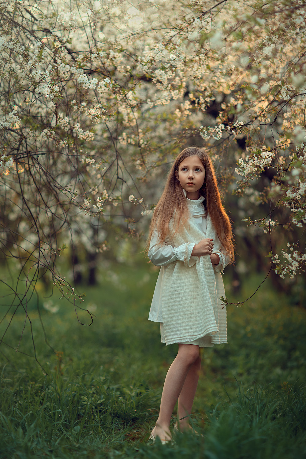 1000x1500  Фотосессия в цветении для девочки | Фотограф Катрин Белоцерковская
