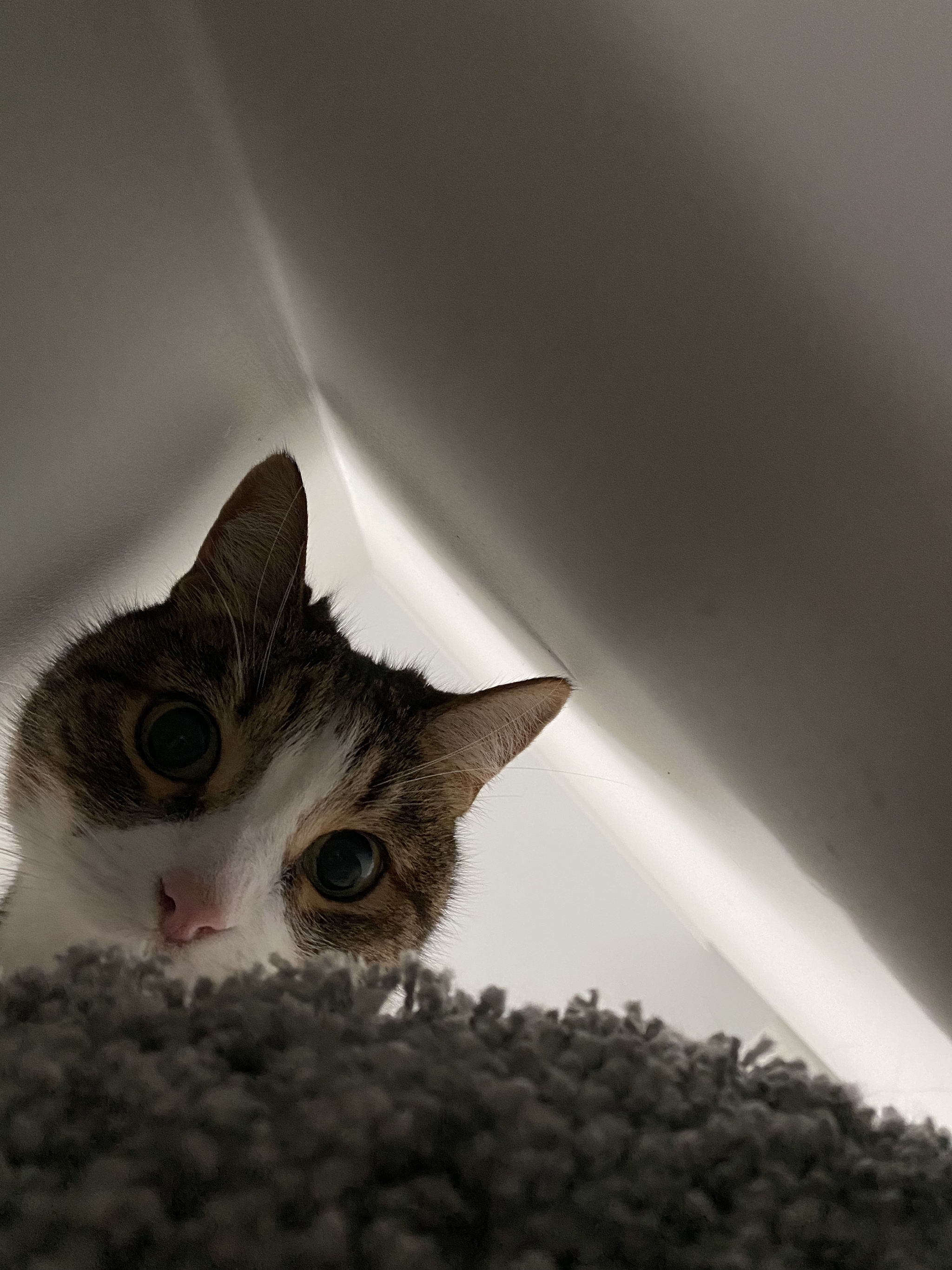 2048x2731  Образец трудового договора для несовершеннолетних 2022