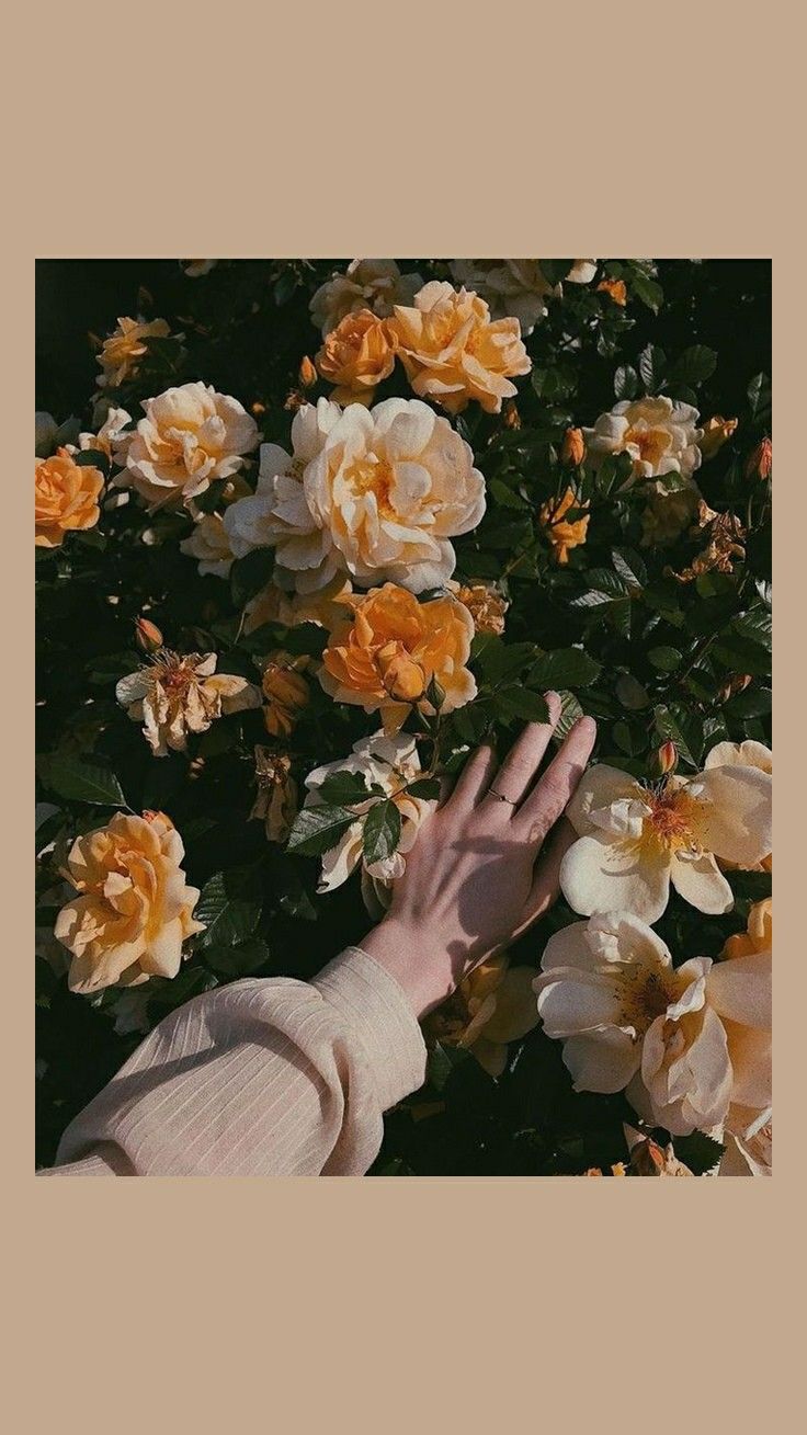 736x1309  девочки и обои | Aesthetic desktop wallpaper, Aesthetic pastel wallpaper,  Aesthetic wallpapers