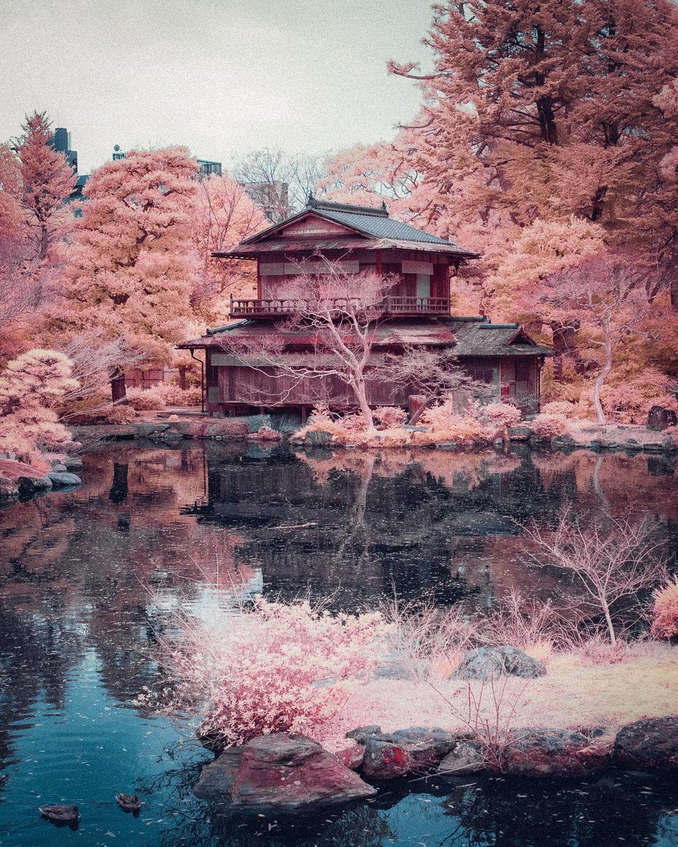 960x1200  Owsla Kyoto - обои 960x1200 - teahub.io 