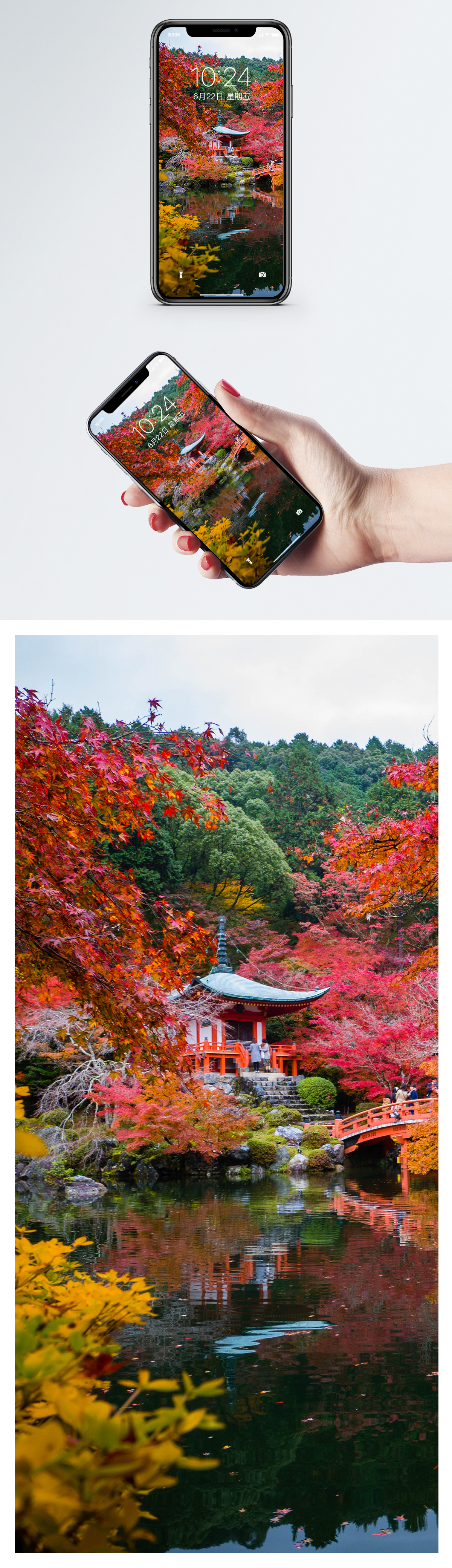 1200x4160   Осенние обои для мобильного телефона В Киото фоны изображений скачать бесплатно-400671487 -Lovepik.com 