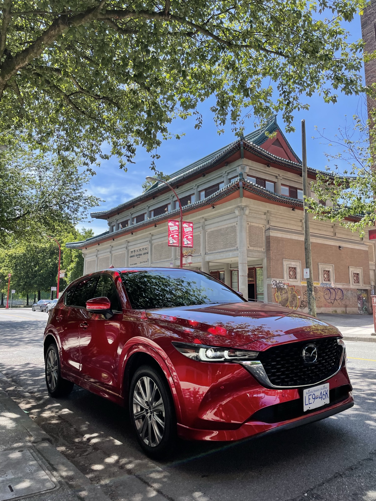 1536x2048  M {zd {cx-5