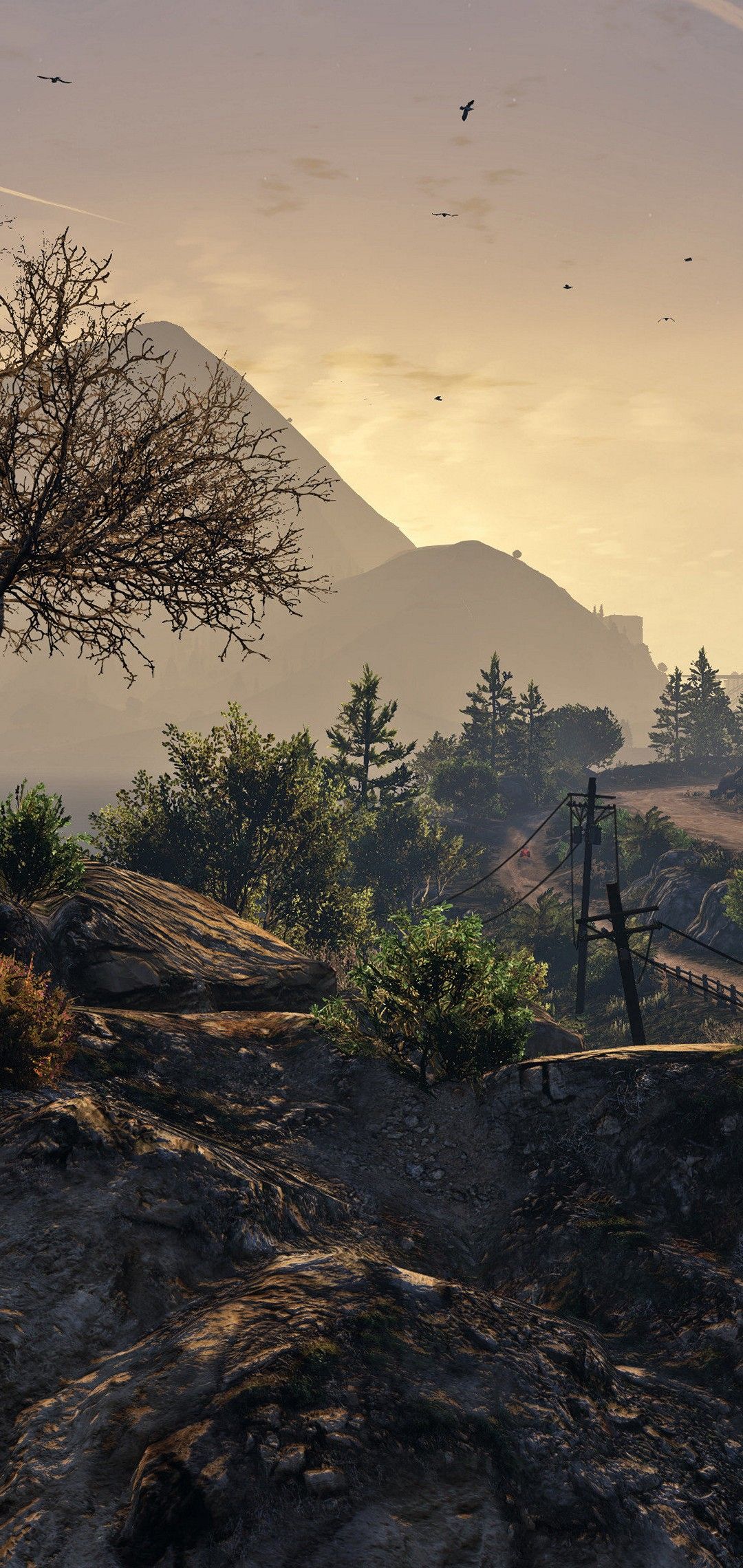 1080x2280  Обои Mountain Way - HD обои для Vivo V15 Pro (1080x2280) | Фоин с пищевой фотографией, ландшафт, природа