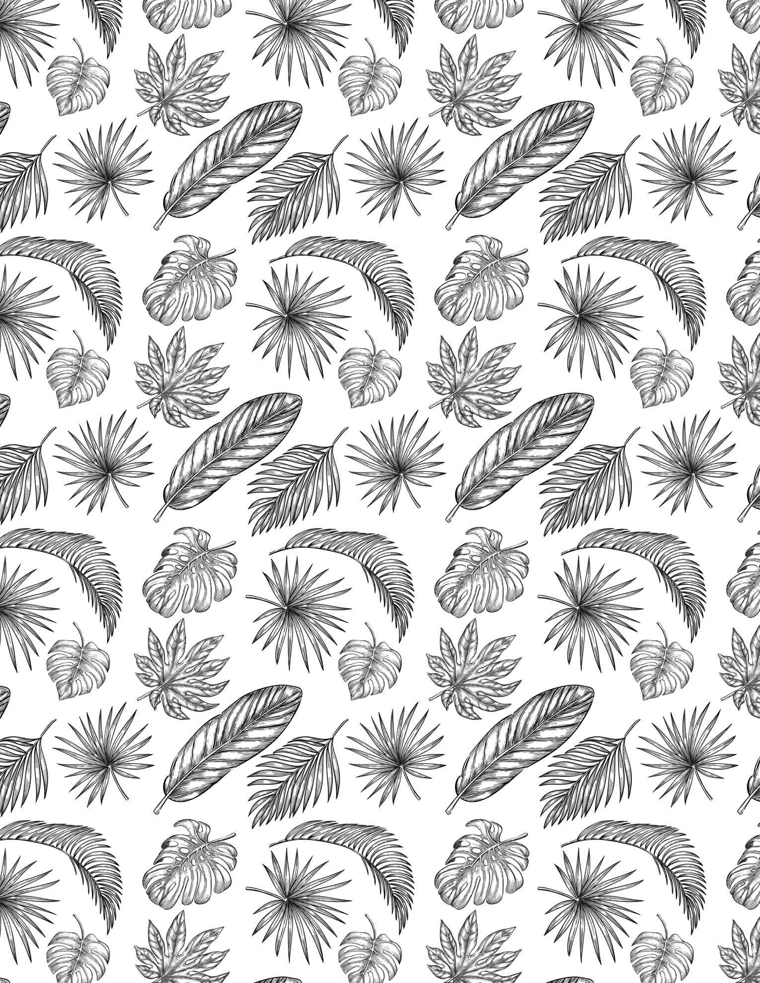 1530x1979  Купить керамические наклейки - Palm Leafs (черный, 9 'x 6,5 дюйма) онлайн в Desertcarthaiti