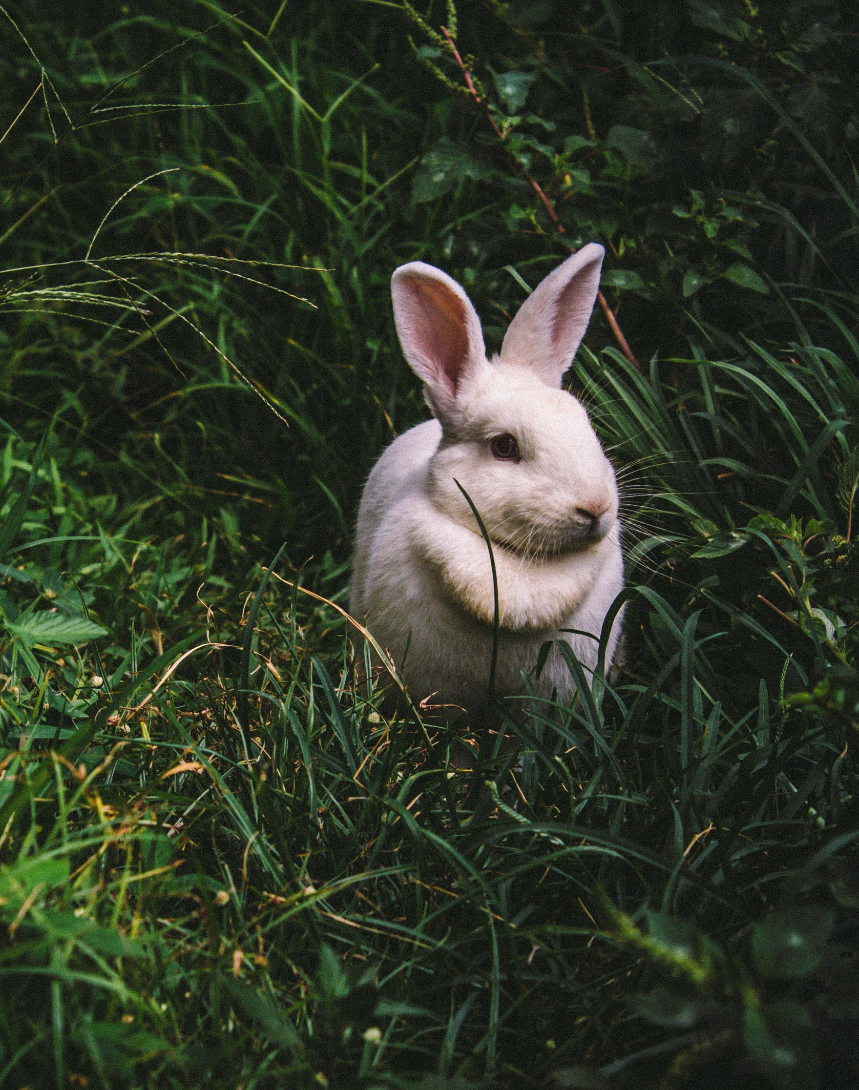 1677x2127  Ostern Mit Meerblick