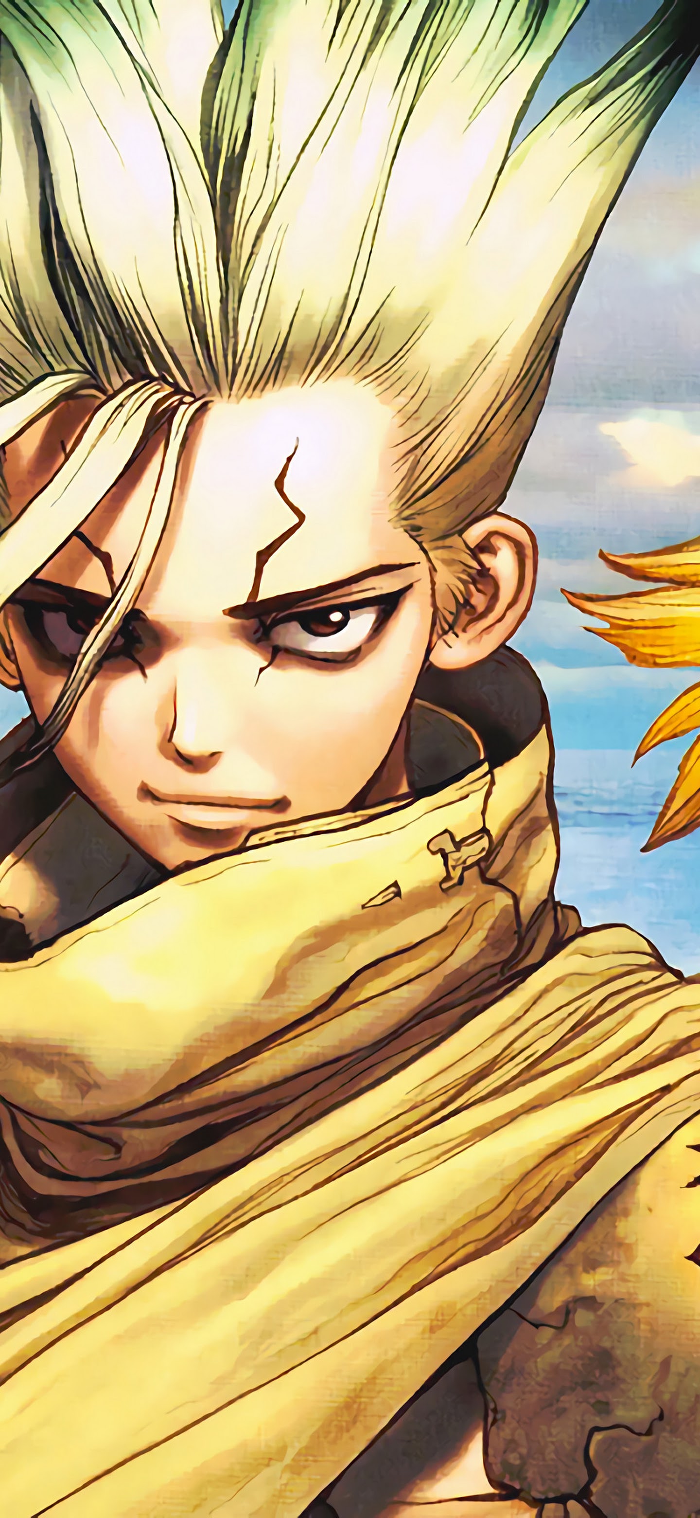 1440x3120  Доктор Стоун Мобильный 4K Обои - пещера обоев