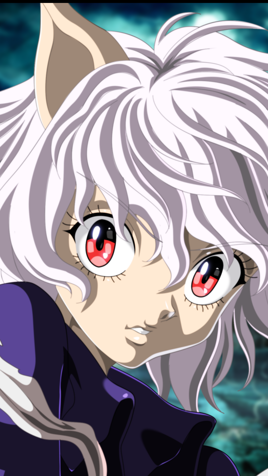 1080x1920  Neferpitou - Hunter × Hunter от Joseph Joestar - Мобильная пропасть