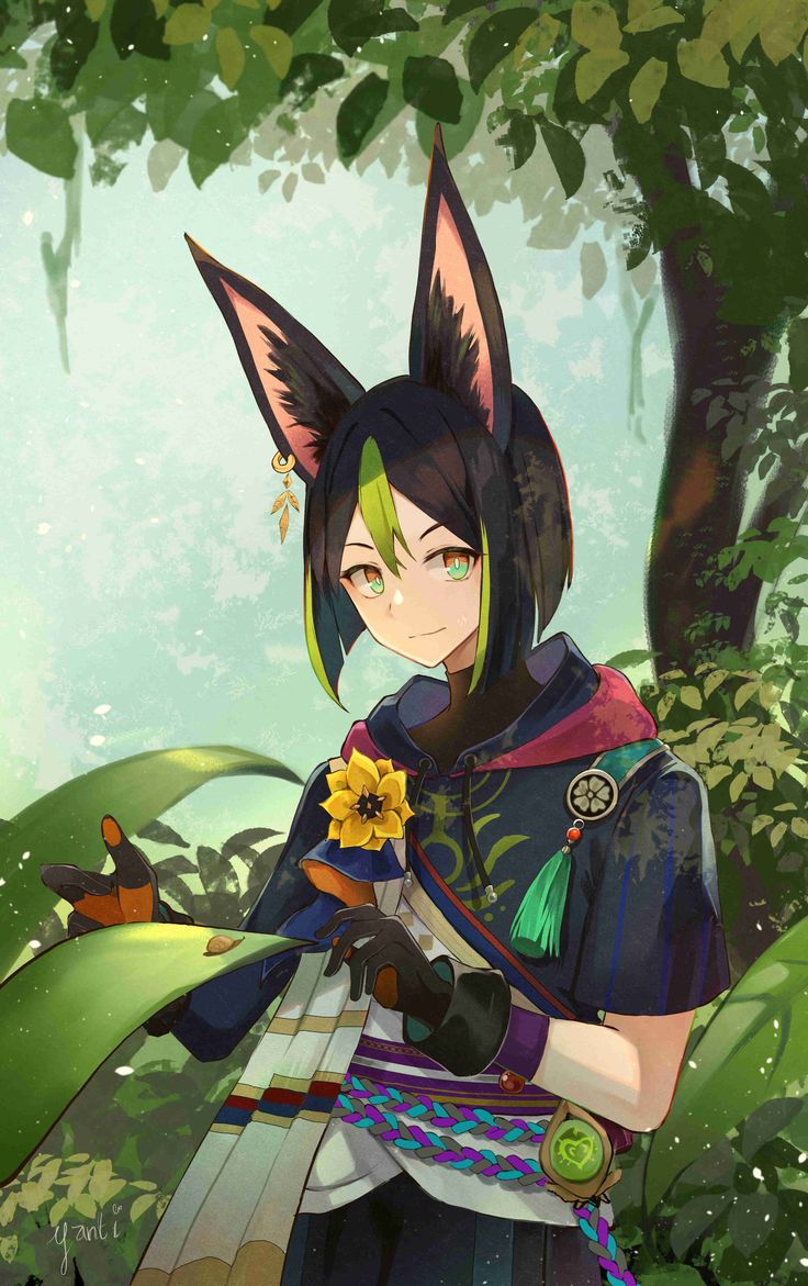 736x1171  Tighnari - Genshin Impact - Image By Pixiv ID 17151114 #3748117 - Zerochan Anime Poard | Аниме, аниме -изображения, фан -арт