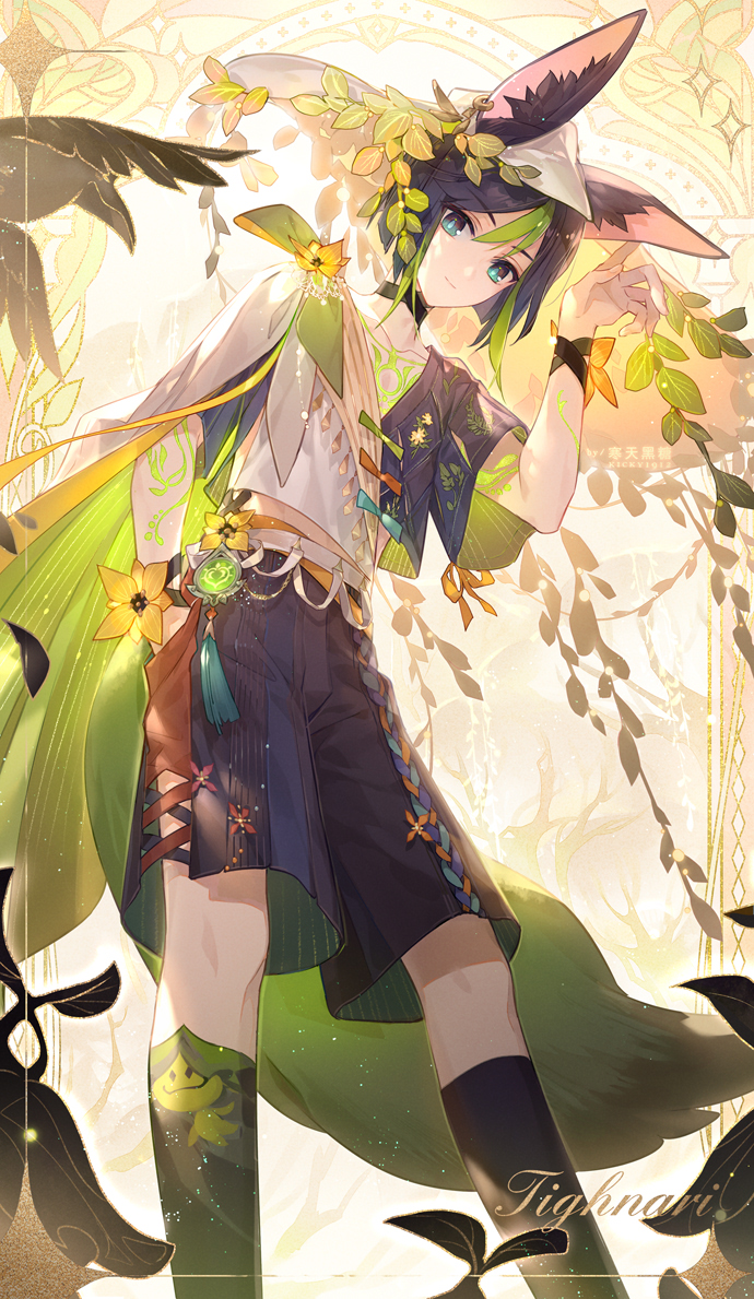 690x1189  Tighnari - Genshin Impact - Zerochan Anime Image Board Mobile