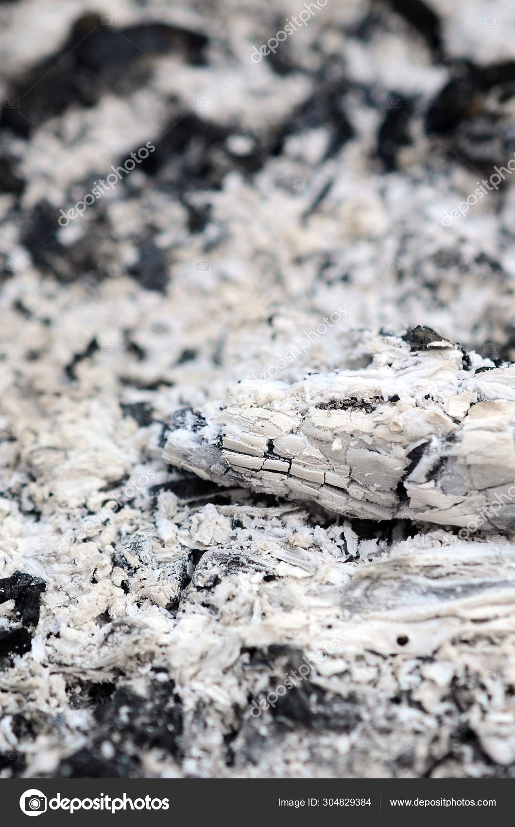 1060x1700  Серые пепельные фото, фотоавтораня, серая пепла изображения | Депозитфотос