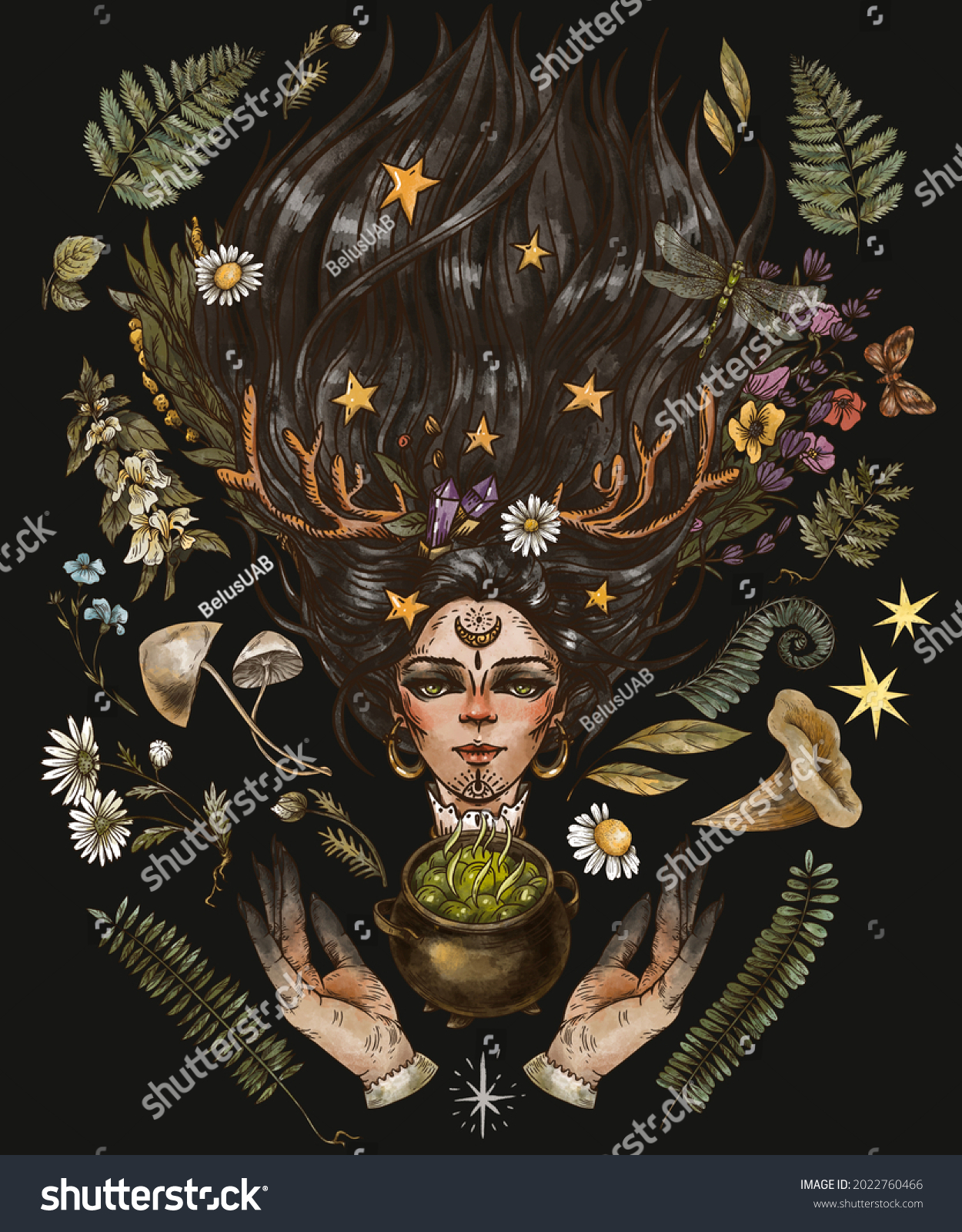 1250x1600  Винтажная мистическая ведьма иллюстрация магическая колдовство Иллюстрация 2022760466 | Shutterstock