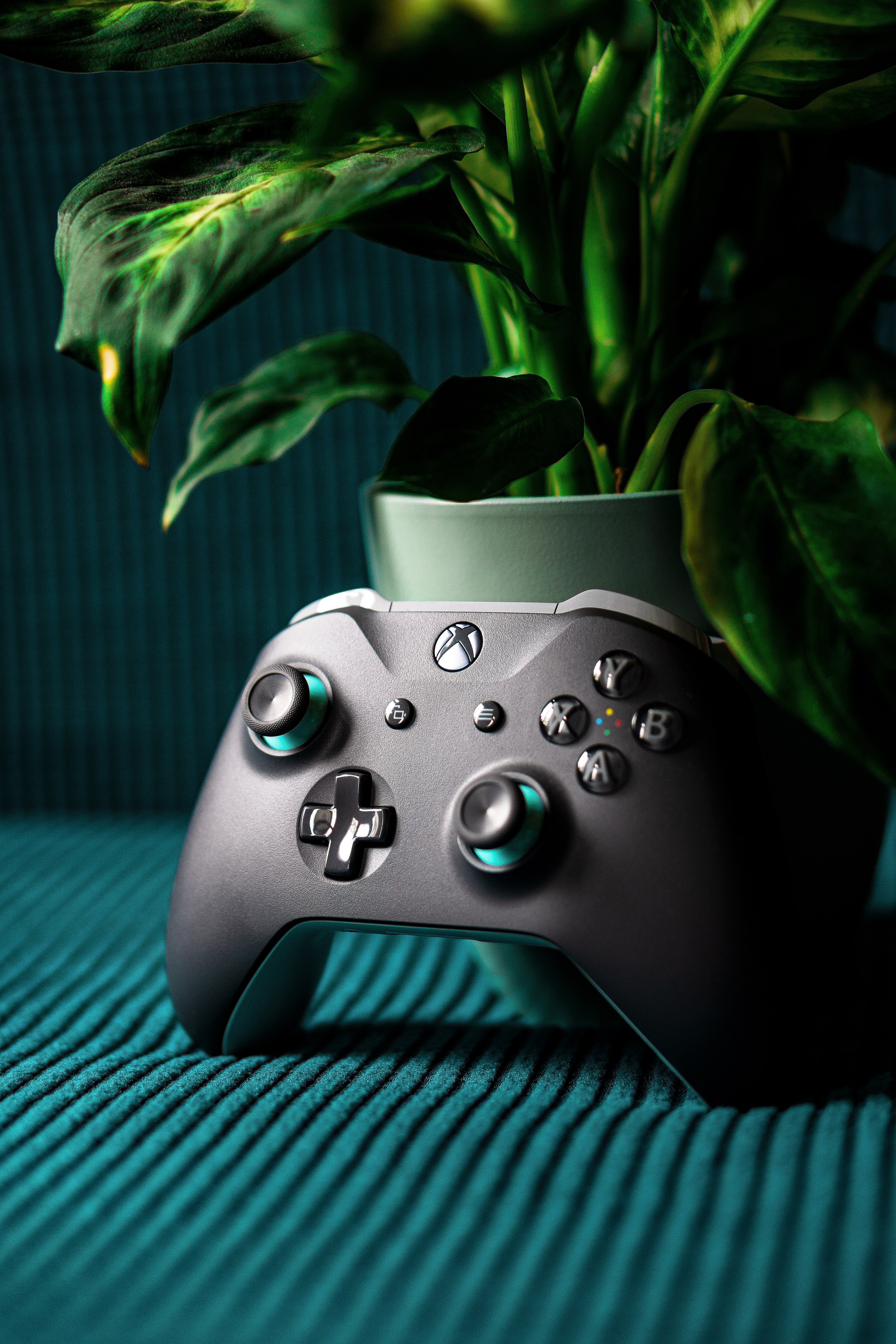 4000x6000  1000+ Xbox Controller Pictures | Скачать бесплатные изображения на Unsplash