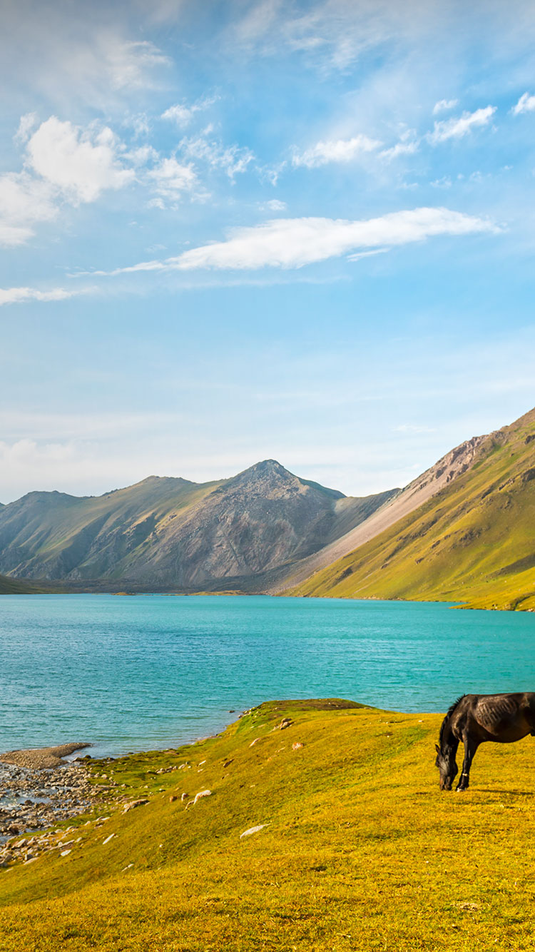 750x1334  Таджикистан: фоновое исследование