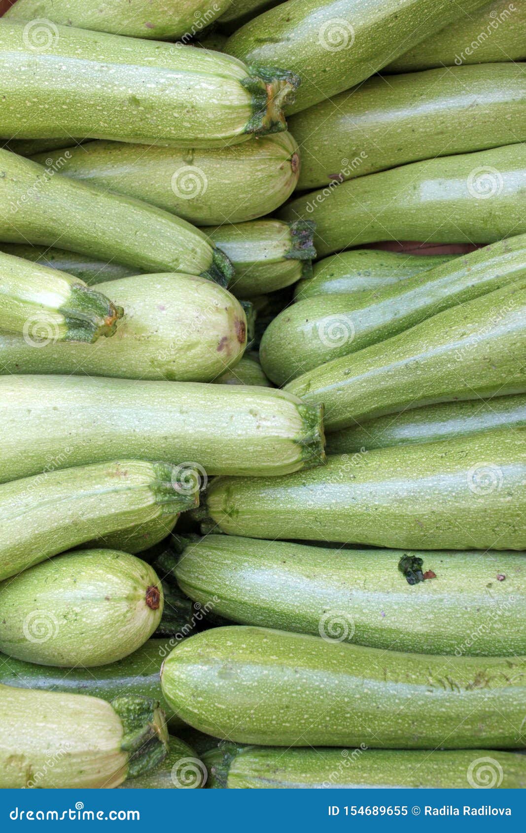 1067x1690  Цуккини. Свежие цуккини, зеленые овощи, летняя сквош. Органический зеленый цуккини. Овощная фоновая текстура Стоковая Изображение - изображение крупного плана, спелый: 154689655