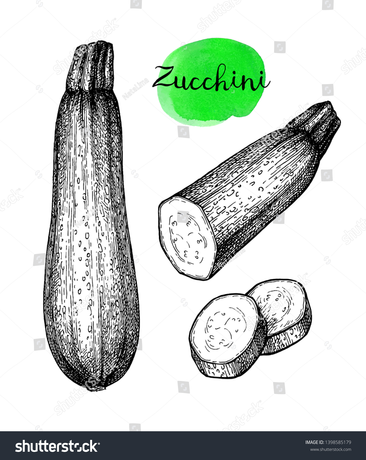 1275x1600  1143 цуккини -изображения гравюры, Stock Photos \ U0026 Vectors | Shutterstock