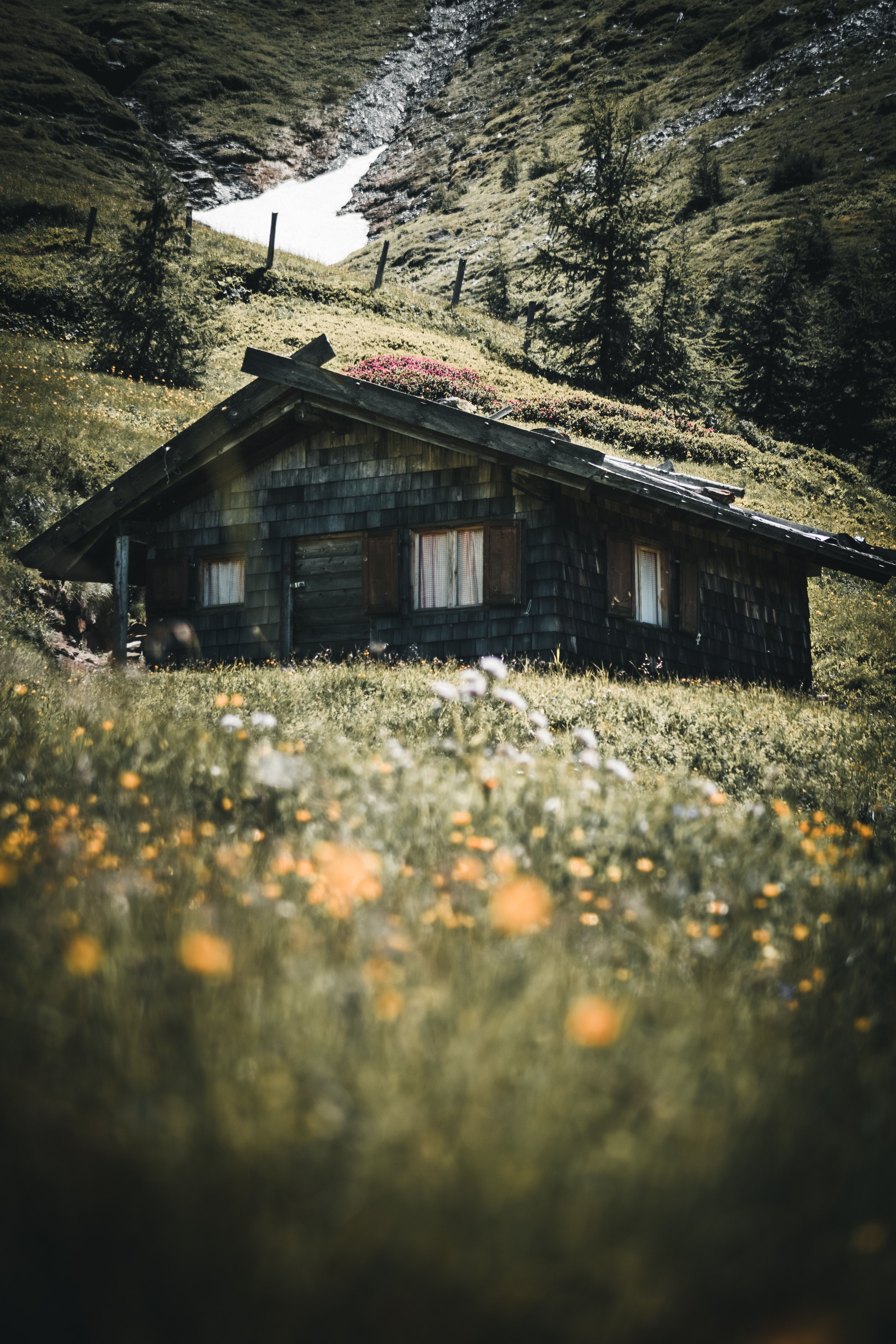 Хижина обои на телефон