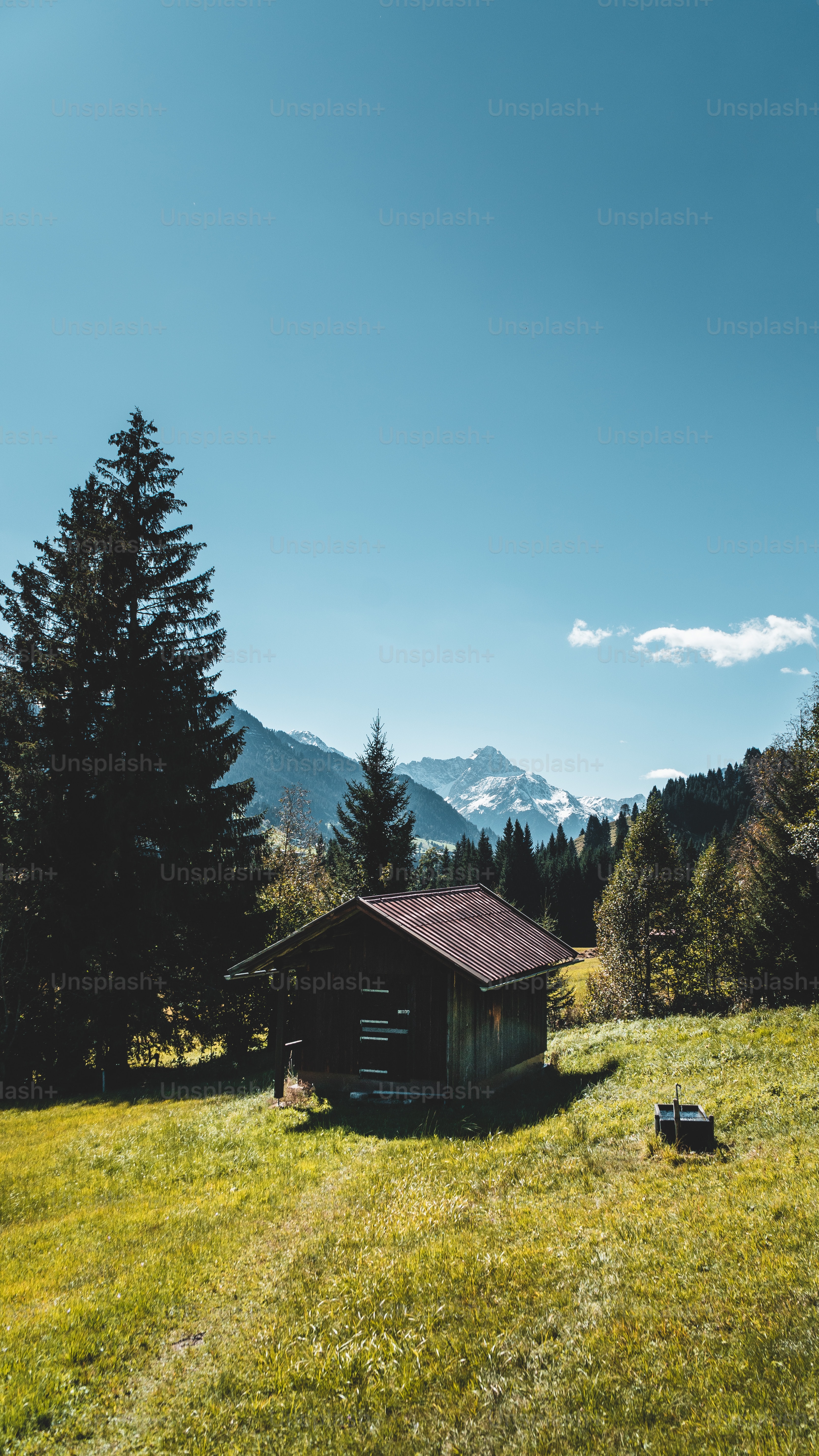 3333x5925  Forest Hut Pictures | Скачать бесплатные изображения на Unsplash