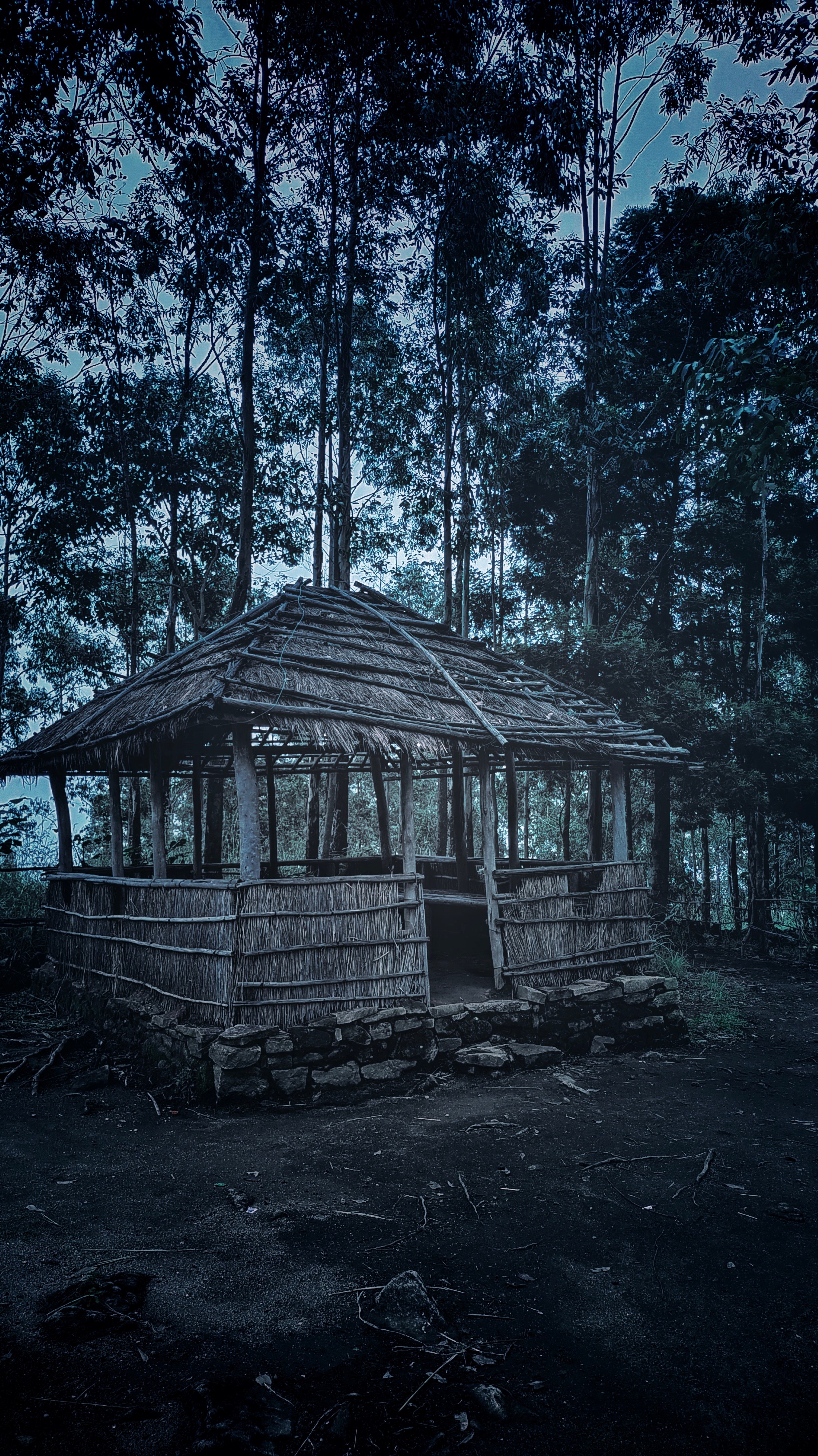 2248x3999  Хитская обои скачать | Mobcup