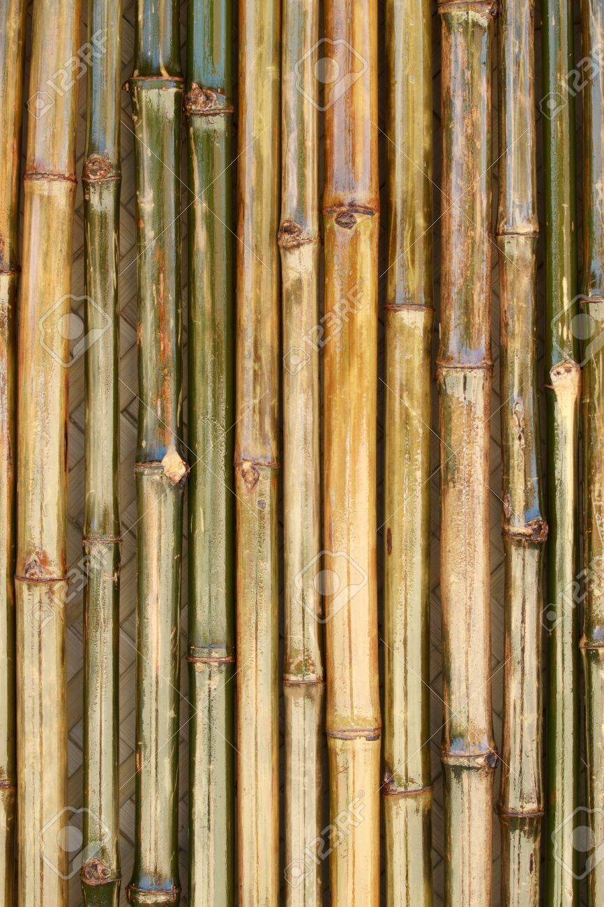 866x1300  Блестящая стена бамбука с текстурой бамбуковой хижины на заднем плане Stock Photo, Picture и REALITTIS. Изображение 8562217.