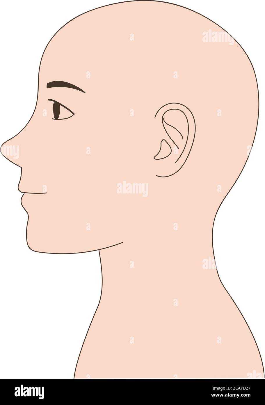 911x1390  Манекен женщины скинхеда. Векторная иллюстрация, изолированная на белом фоне запаса векторного изображения \ U0026 Art - Alamy
