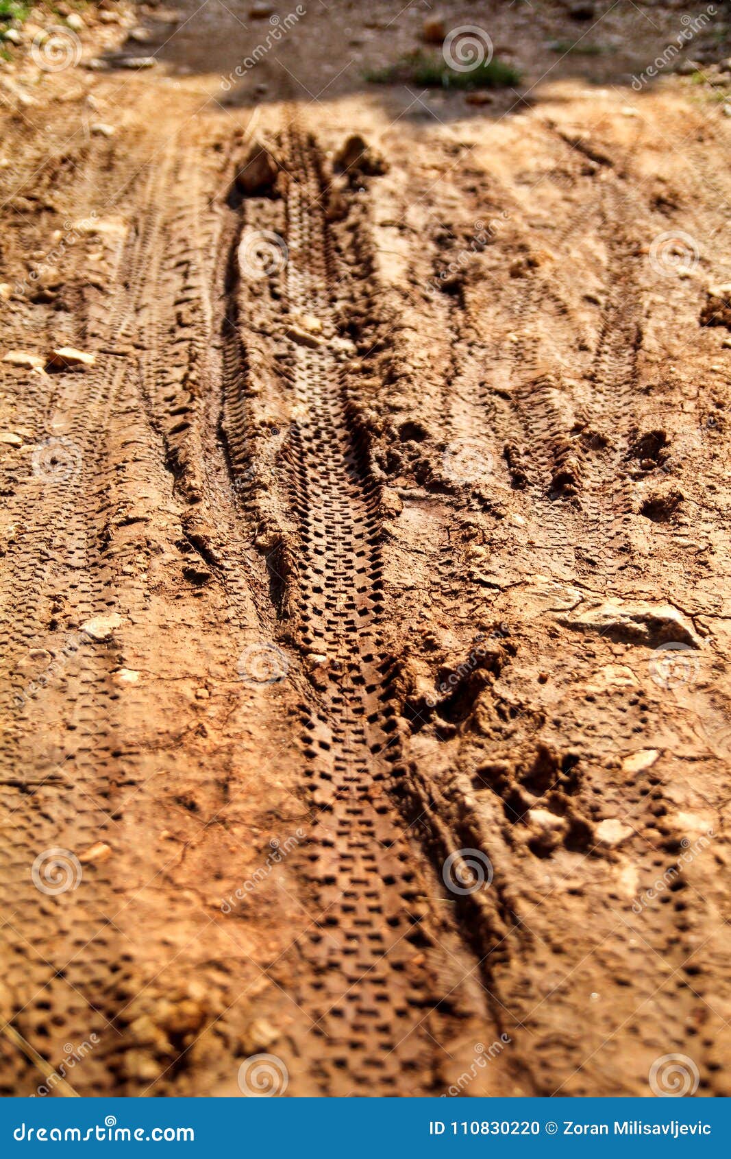 1067x1690  Треки велосипедных шин на Muddy Trail Royalty. Треки шин на влажной грязной дороге, абстрактный фон, текстурный материал Стоковое фото - Изображение абстрактного, наружное: 110830220