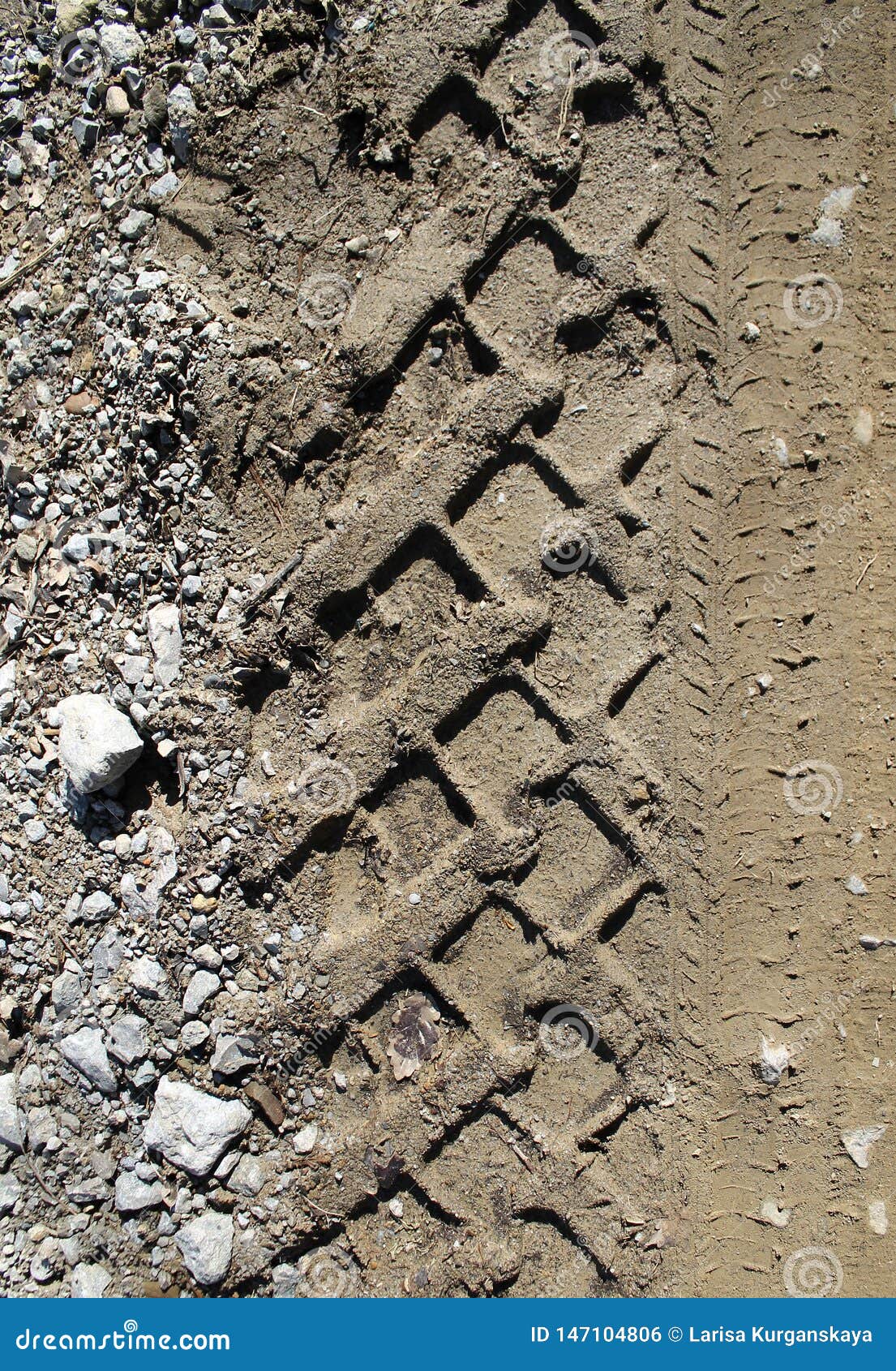 1105x1690  Треки Car Tire на мокрой грязной тропе Royalty, Road, Abstract Faine, текстурный материал. Трека шин на грязном песке или грязи, ретро Стоковое фото - изображение скорости, диск: 147104806