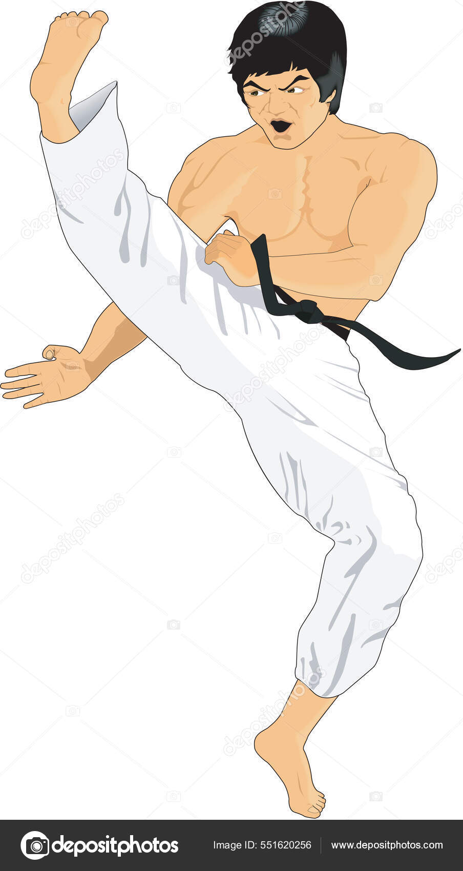 904x1700  Kyokushin Style Vector Art Stock Images | Депозитфотос