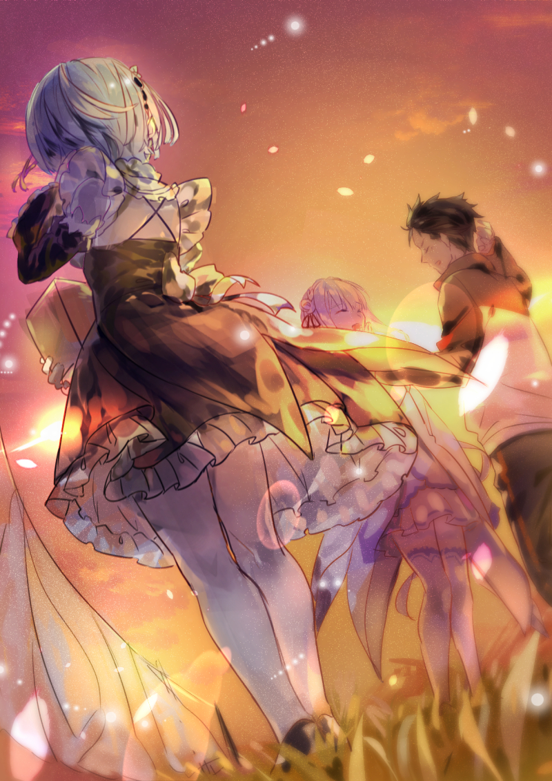 800x1131  Emilia, мобильные обои - Zerochan Anime Image Board Mobile