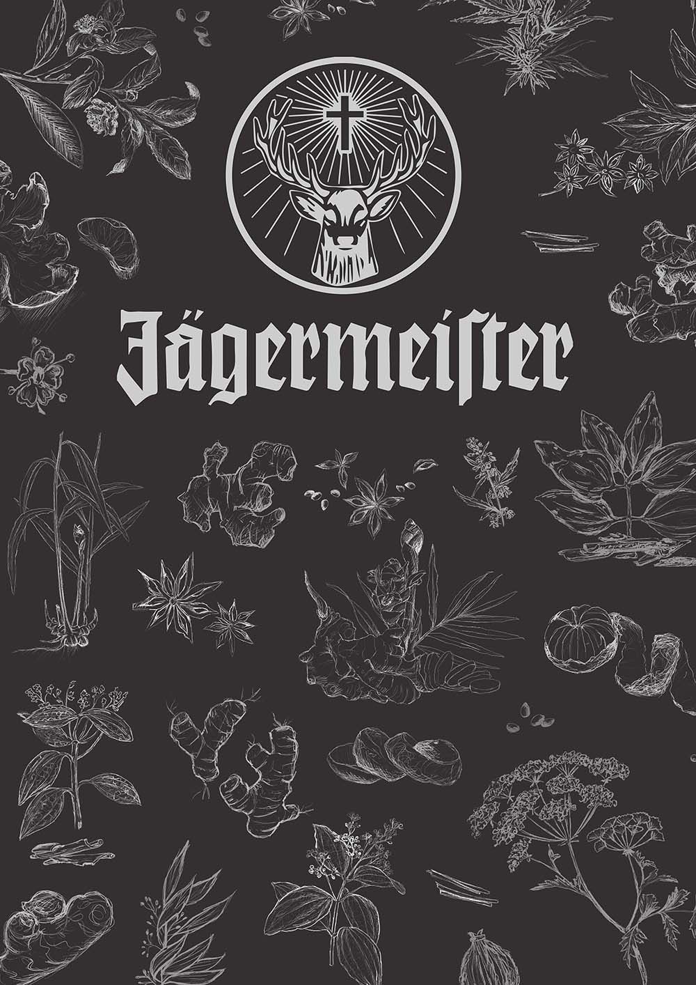1000x1414  12 Идеи Jagermeister | Jagermeister, Jager, алкоголь