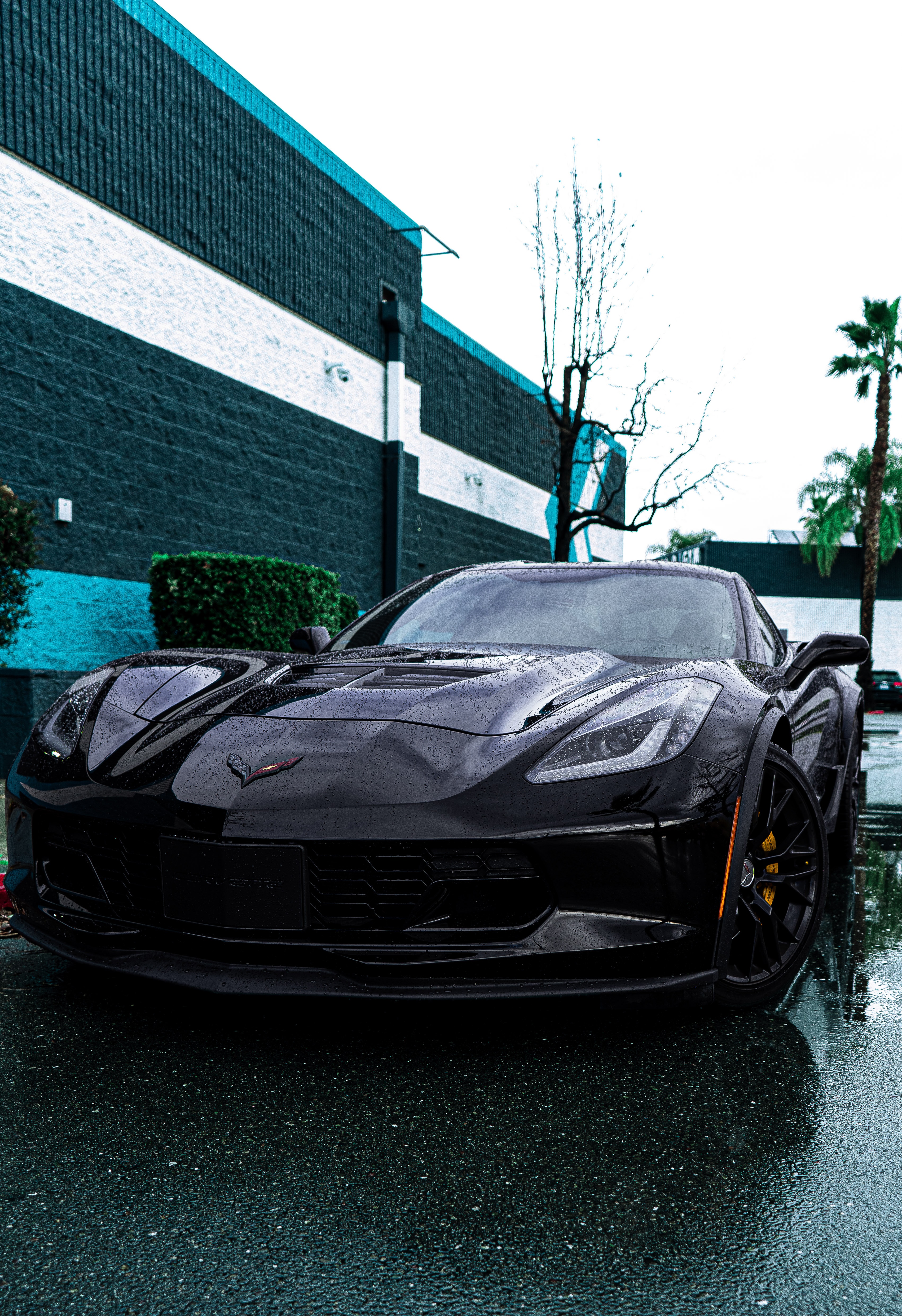 3403x4967  Chevrolet Corvette Pictures | Скачать бесплатные изображения на Unsplash