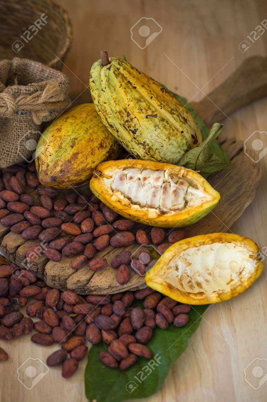 866x1300  Какао фрукты, сырые какао -бобы, какао -капсул на деревянном фоне. Сток -фото, картинки и роялти. Изображение 87529410.