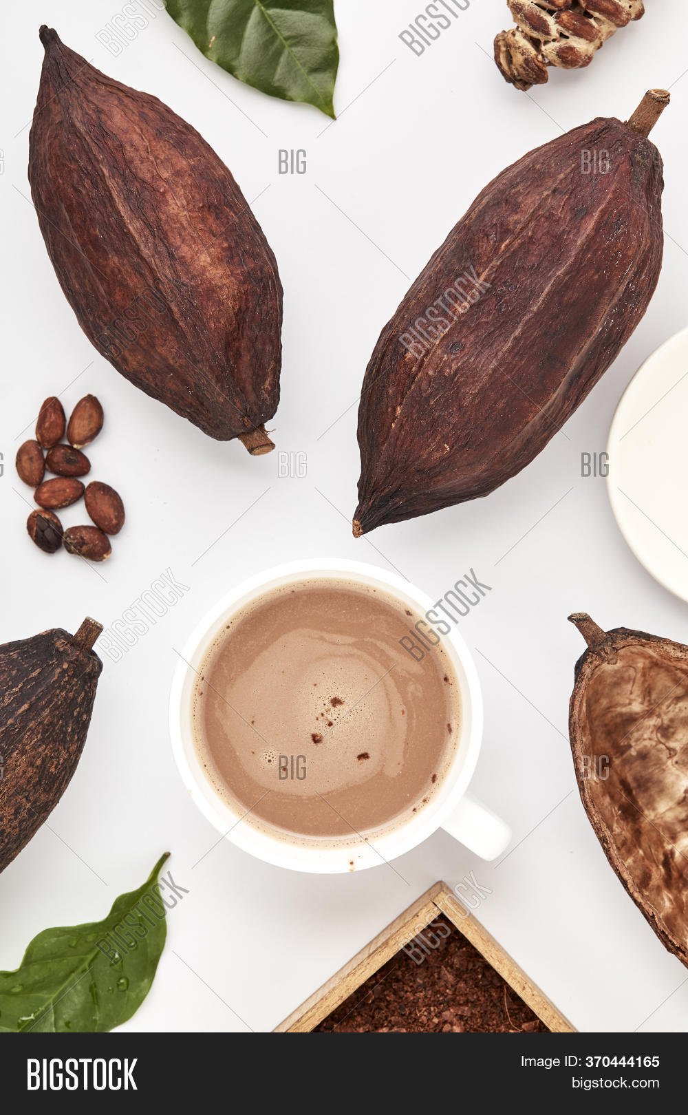 1000x1620  Какао -бобы стручны на изображении \ U0026 Photo (бесплатная пробная версия) | Бигсток