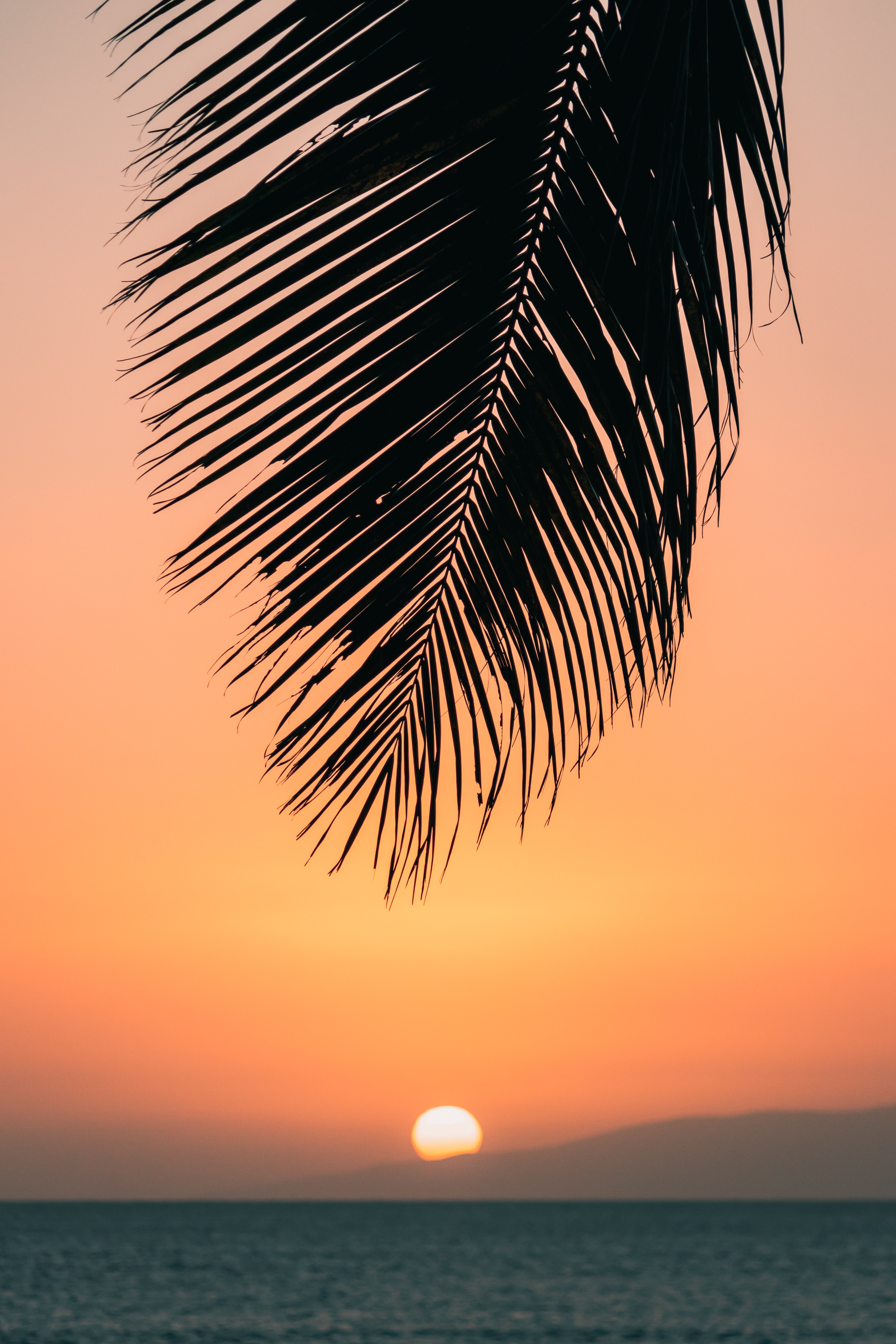 3758x5637  30 000+ Hawaii Sunset Pictures | Скачать бесплатные изображения на Unsplash