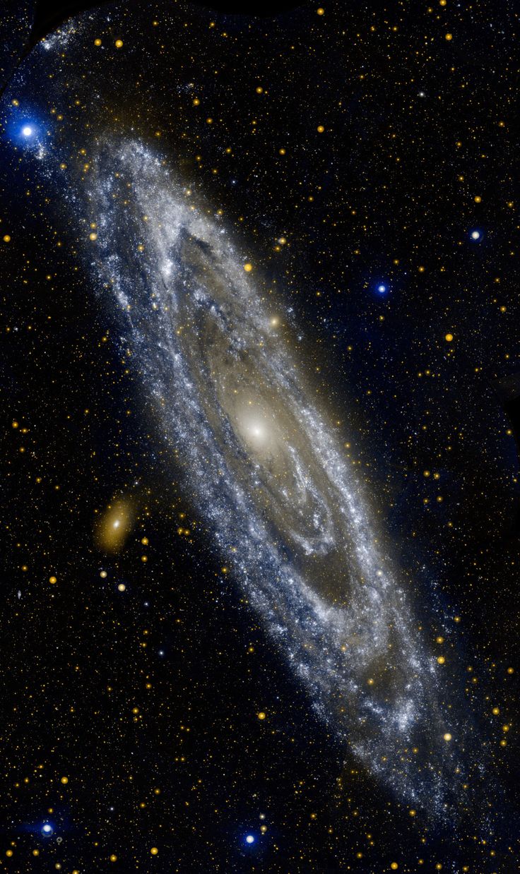 736x1238  Галактика по соседству | Andromeda Galaxy, Hubble Space, космический телескоп