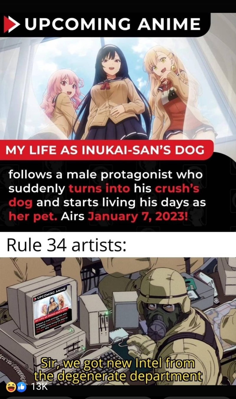 800x1352  Моя жизнь как собака Инукай -сан получает ... - Президент аниме -мемы | Facebook