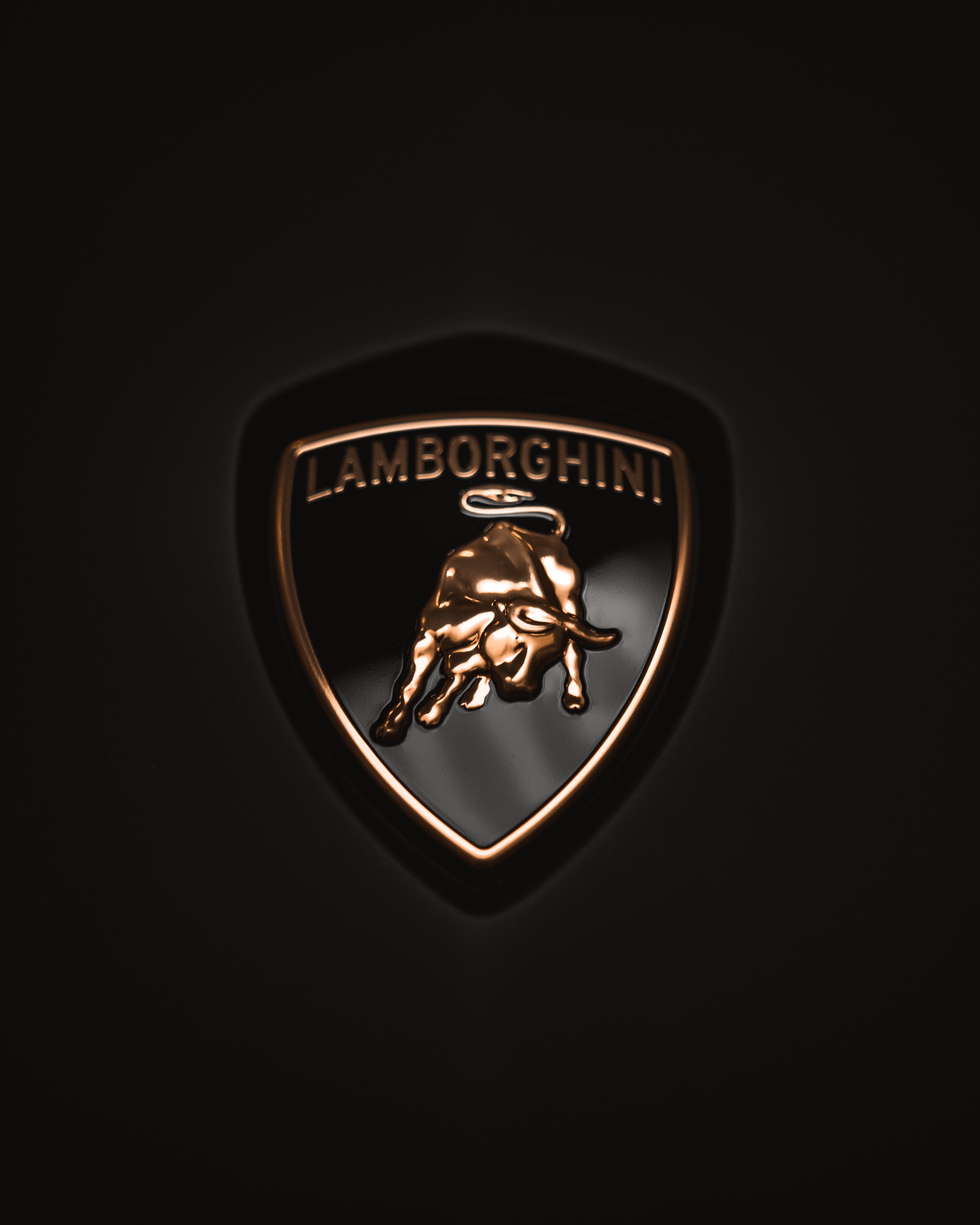 20+ Lamborghini логотип обои на телефон от bkoselev